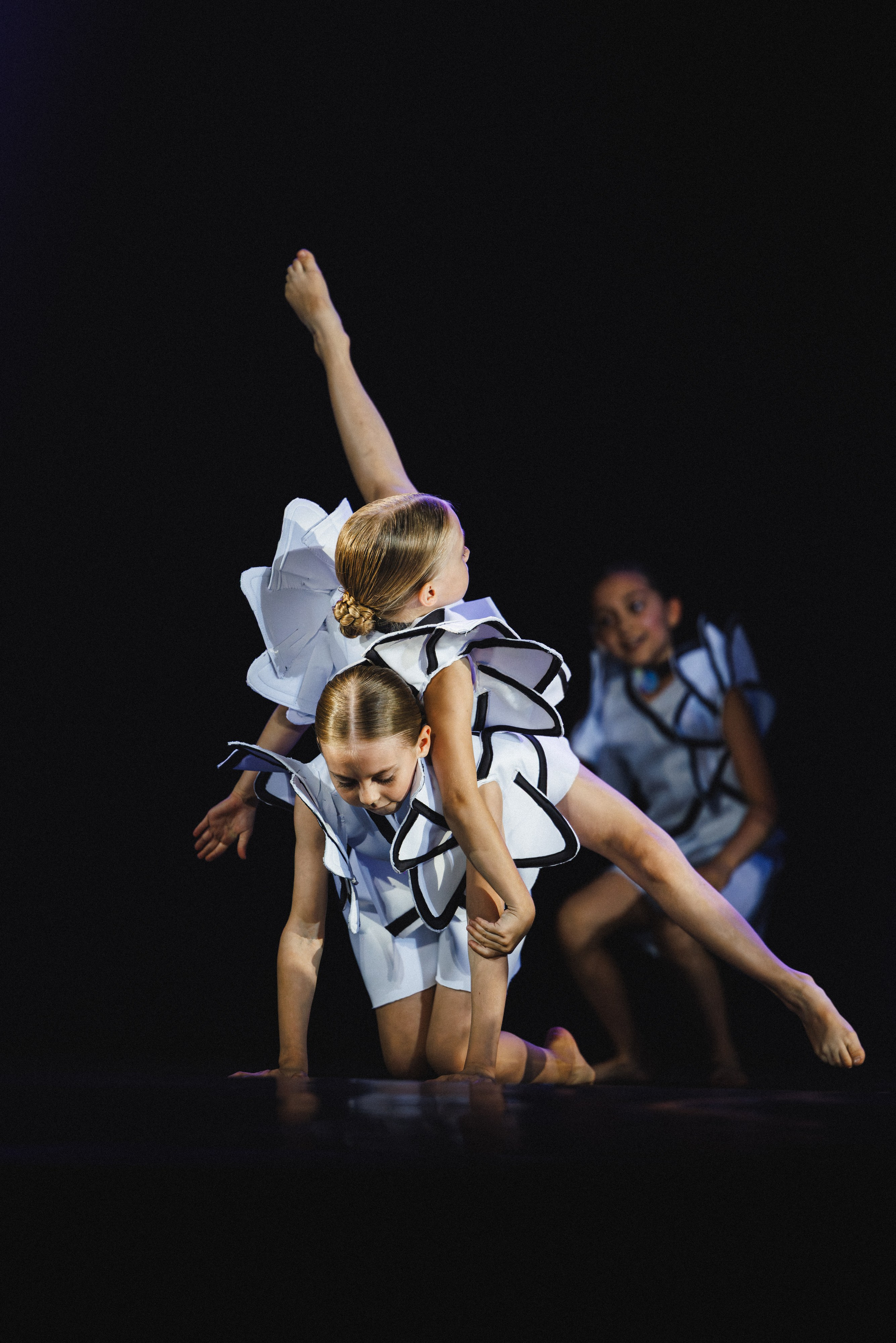 STAGE SHOWS. ProVizArt