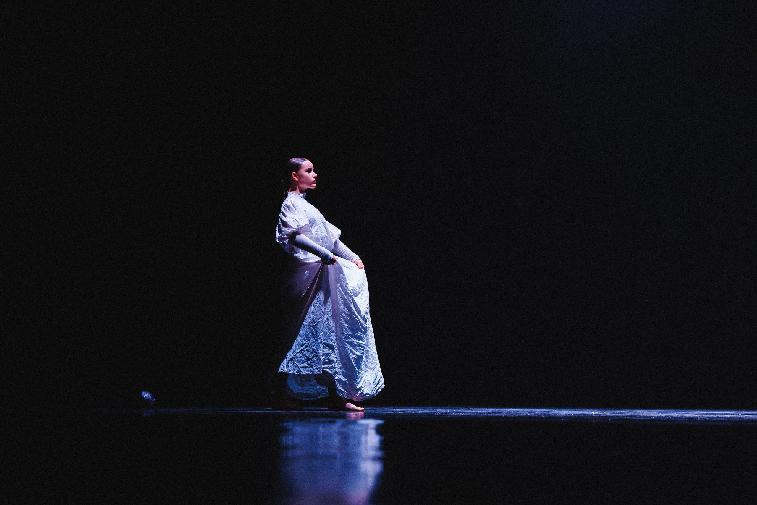 STAGE SHOWS. ProVizArt