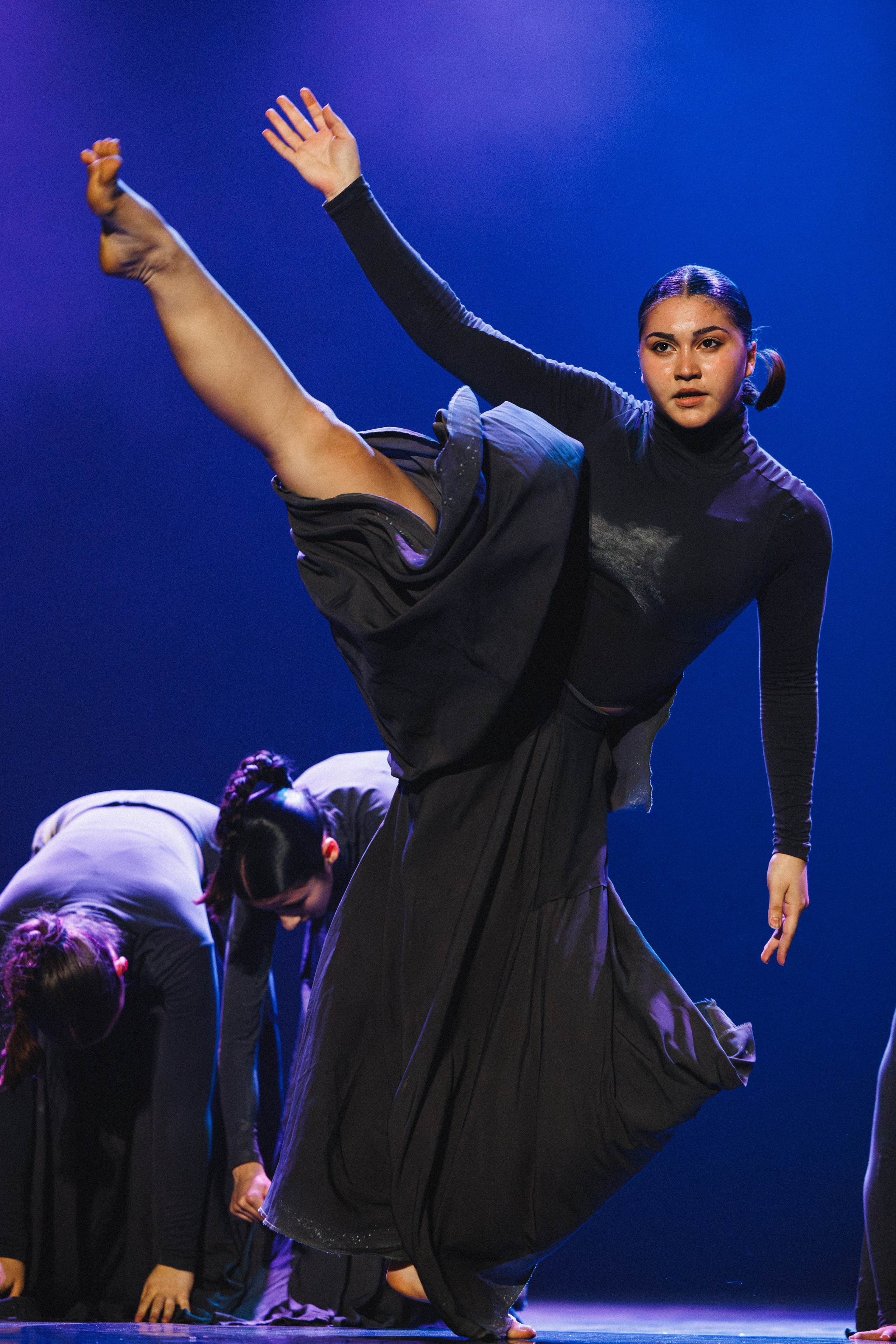 STAGE SHOWS. ProVizArt
