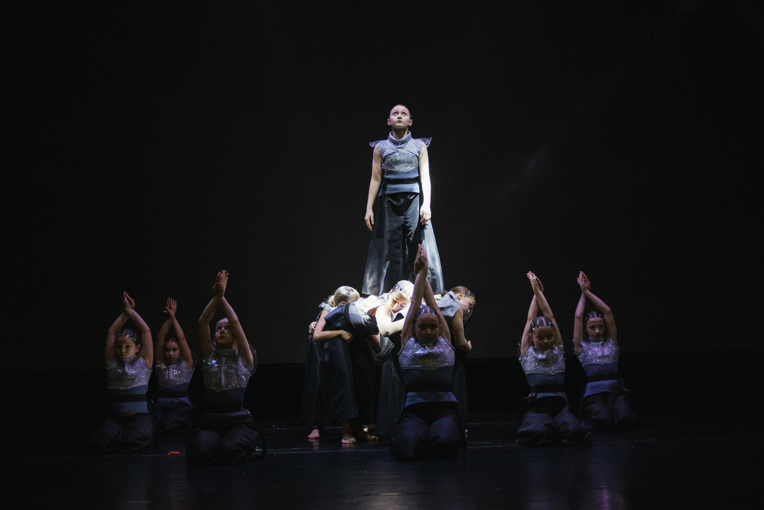 STAGE SHOWS. ProVizArt