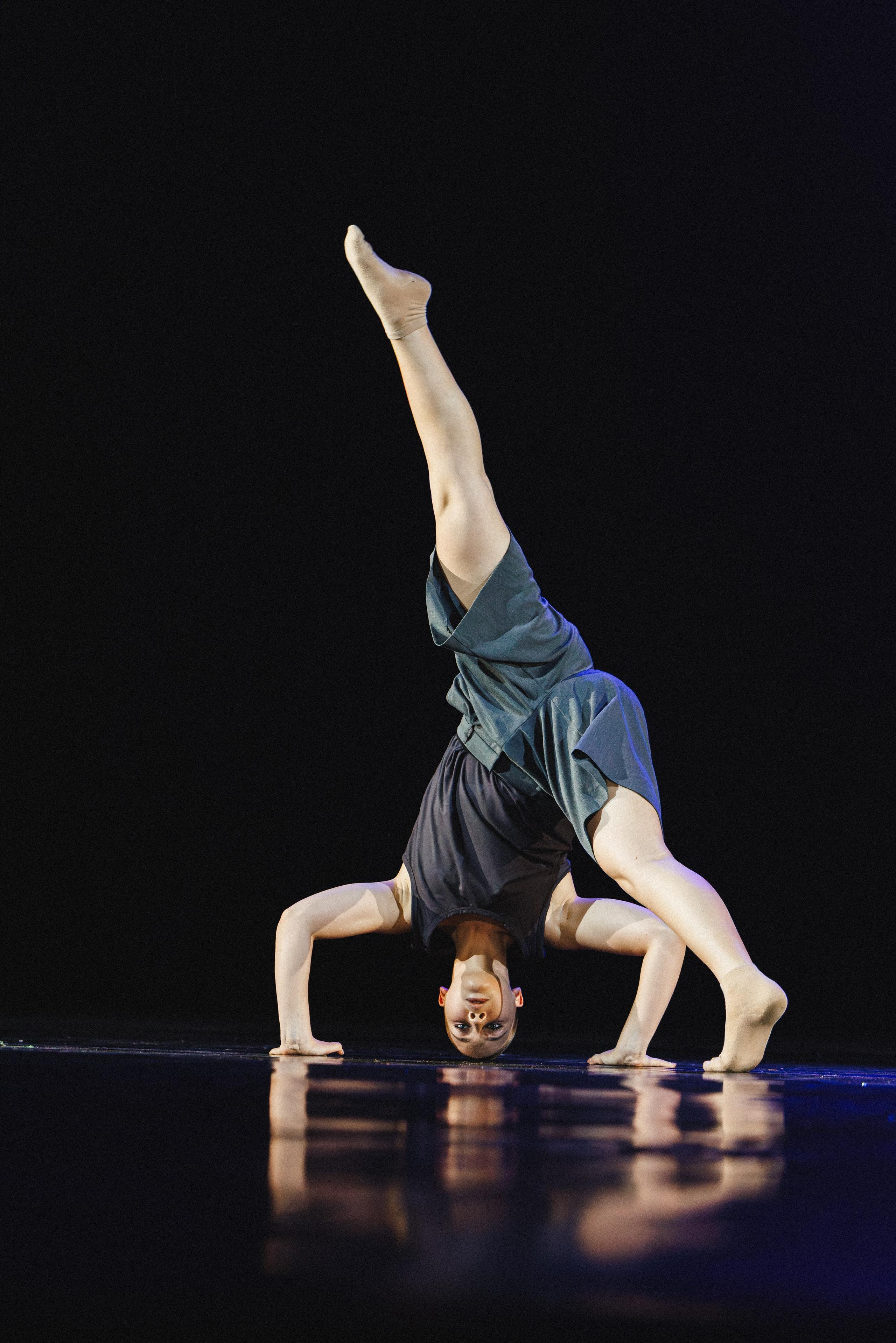 STAGE SHOWS. ProVizArt