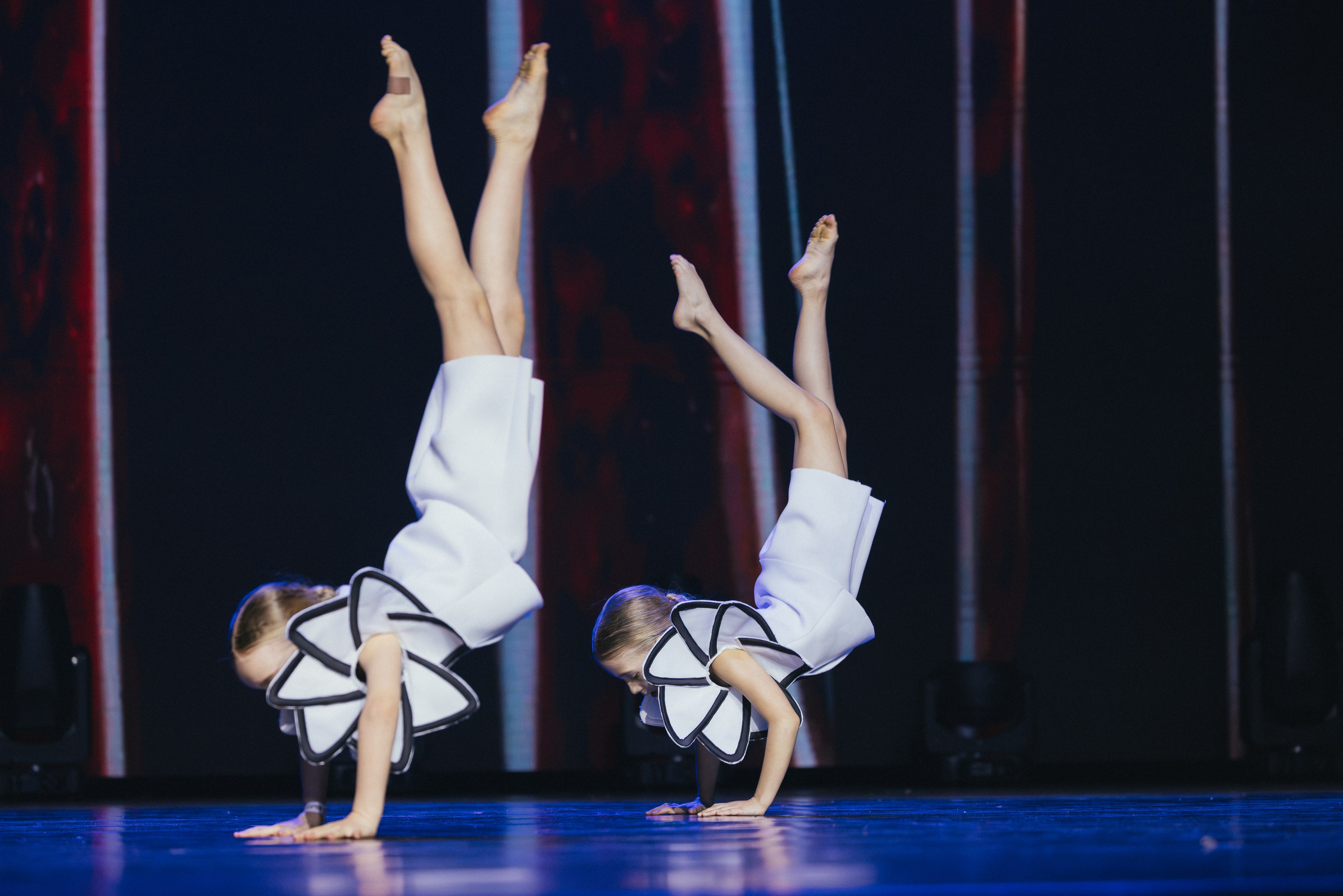 STAGE SHOWS. ProVizArt