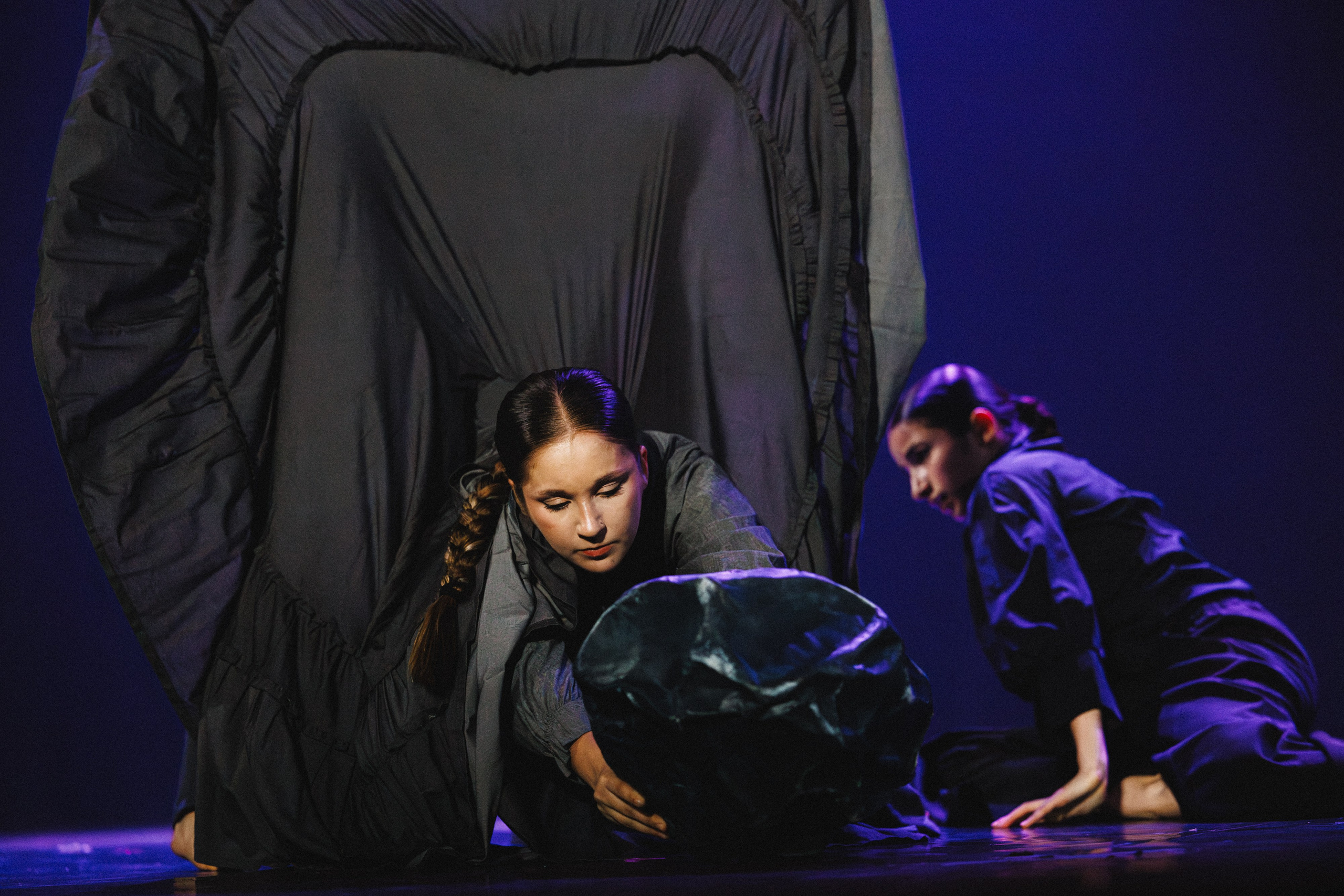 STAGE SHOWS. ProVizArt