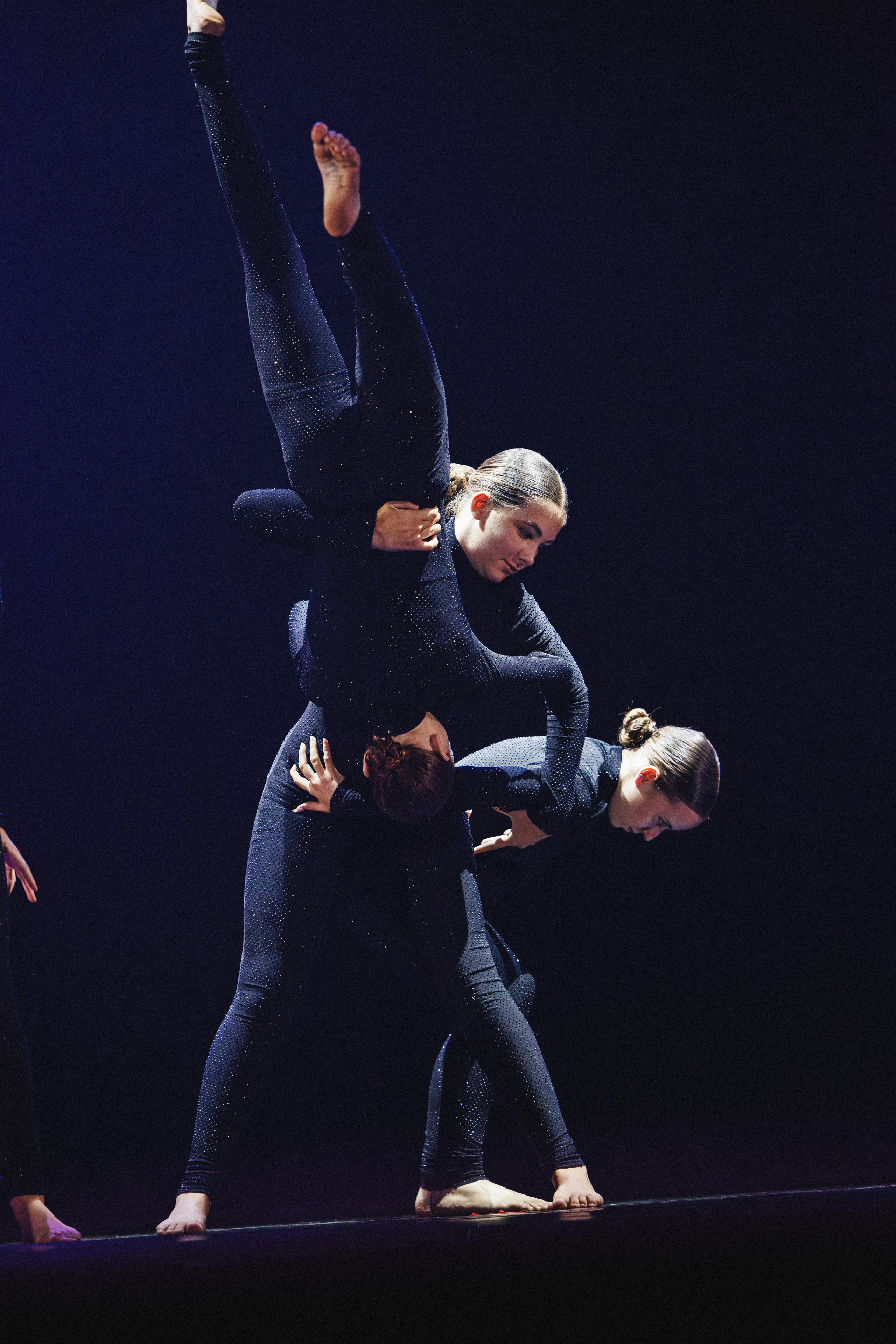 STAGE SHOWS. ProVizArt