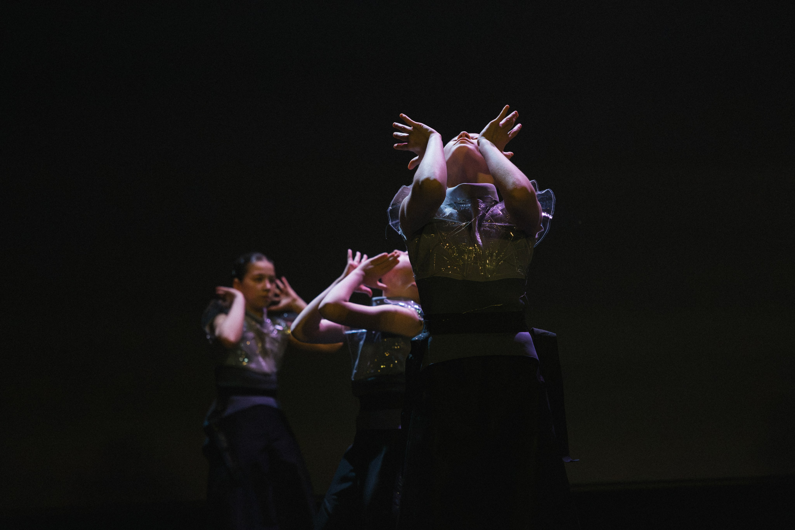 STAGE SHOWS. ProVizArt