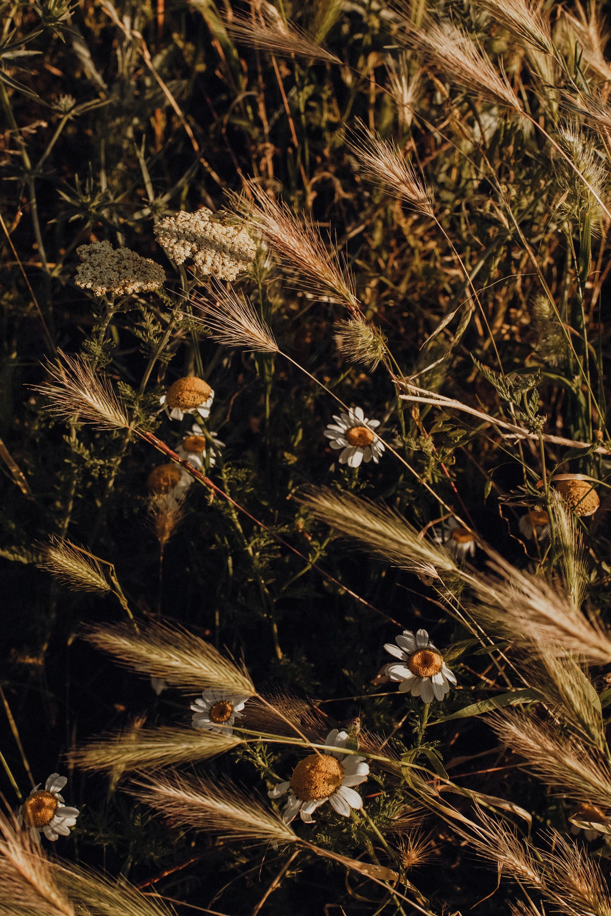 Альбина. Фотограф Тбилиси Саша Мороз