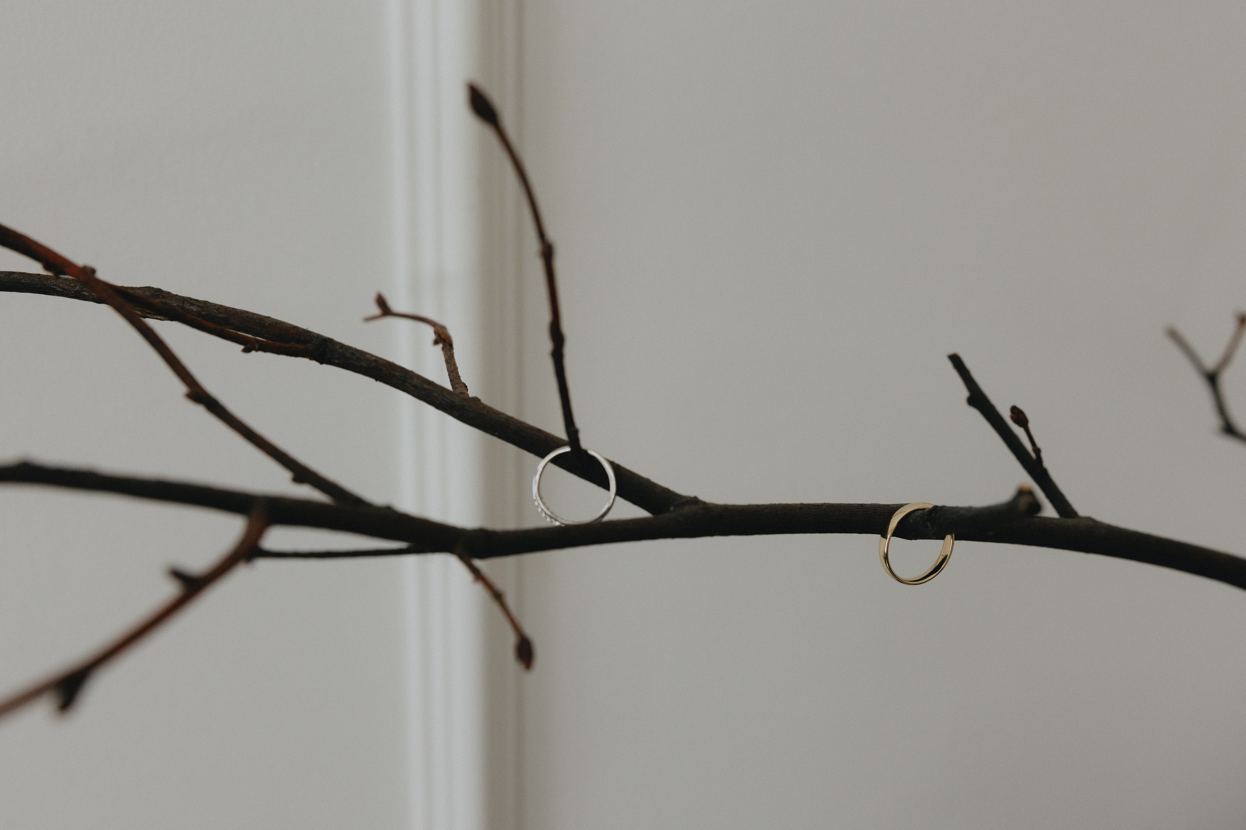 День для двоих / 2025. Фотограф СПб