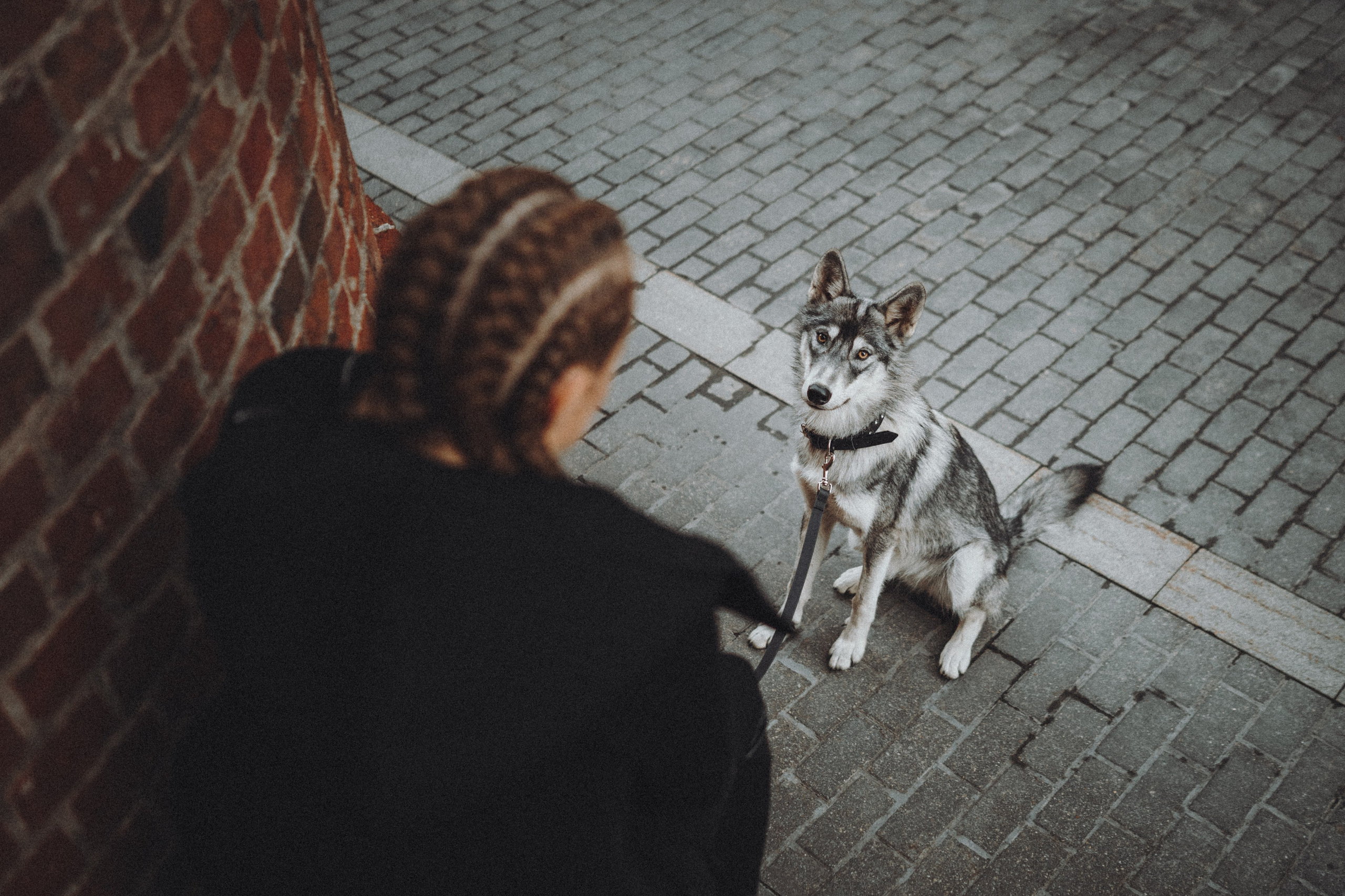 Вика и Кора. Семейный фотограф анималист Ананьева Мария — Москва