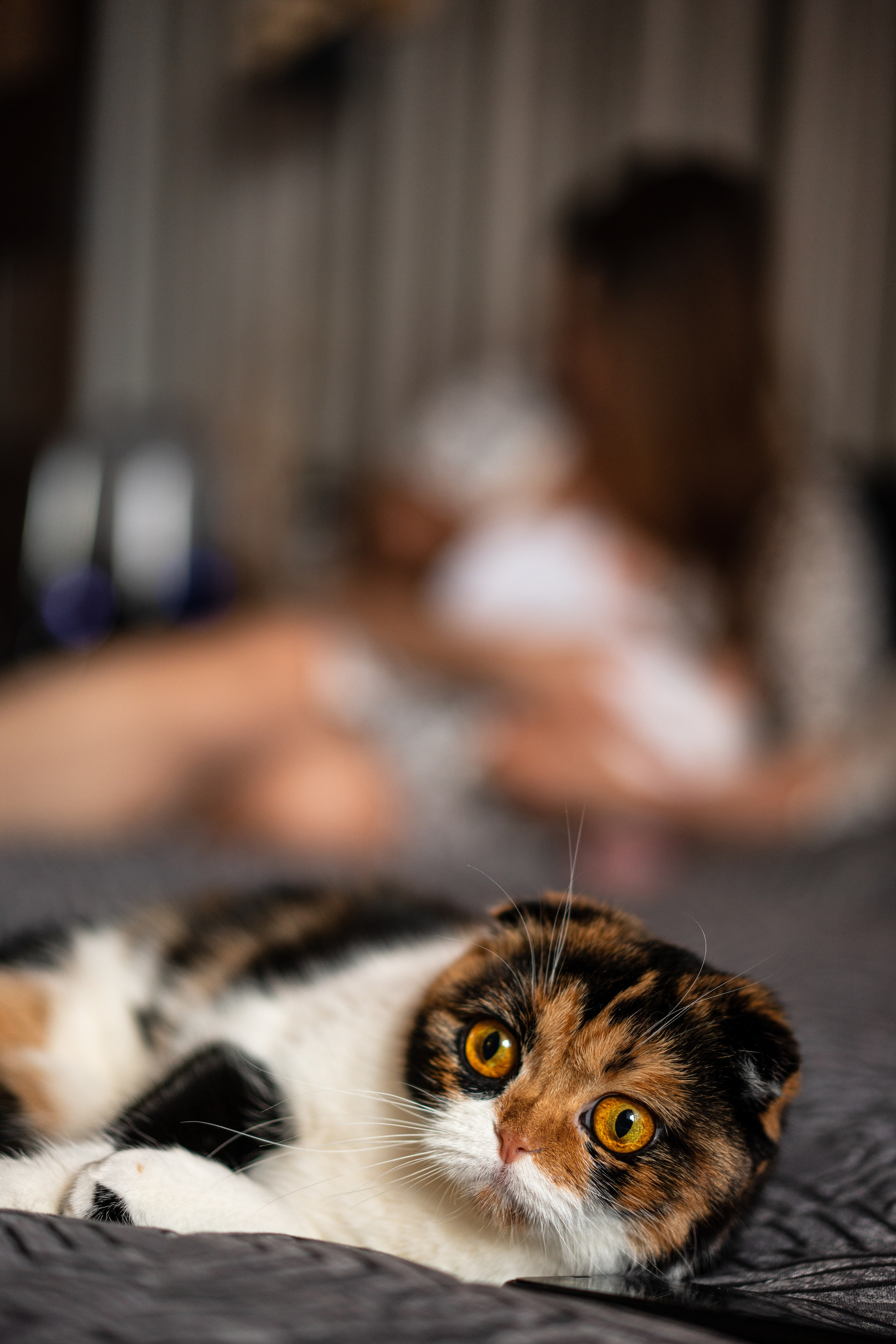 Домашняя сьемка. Семейный фотограф Одинцово Москва Наталия Черенкова