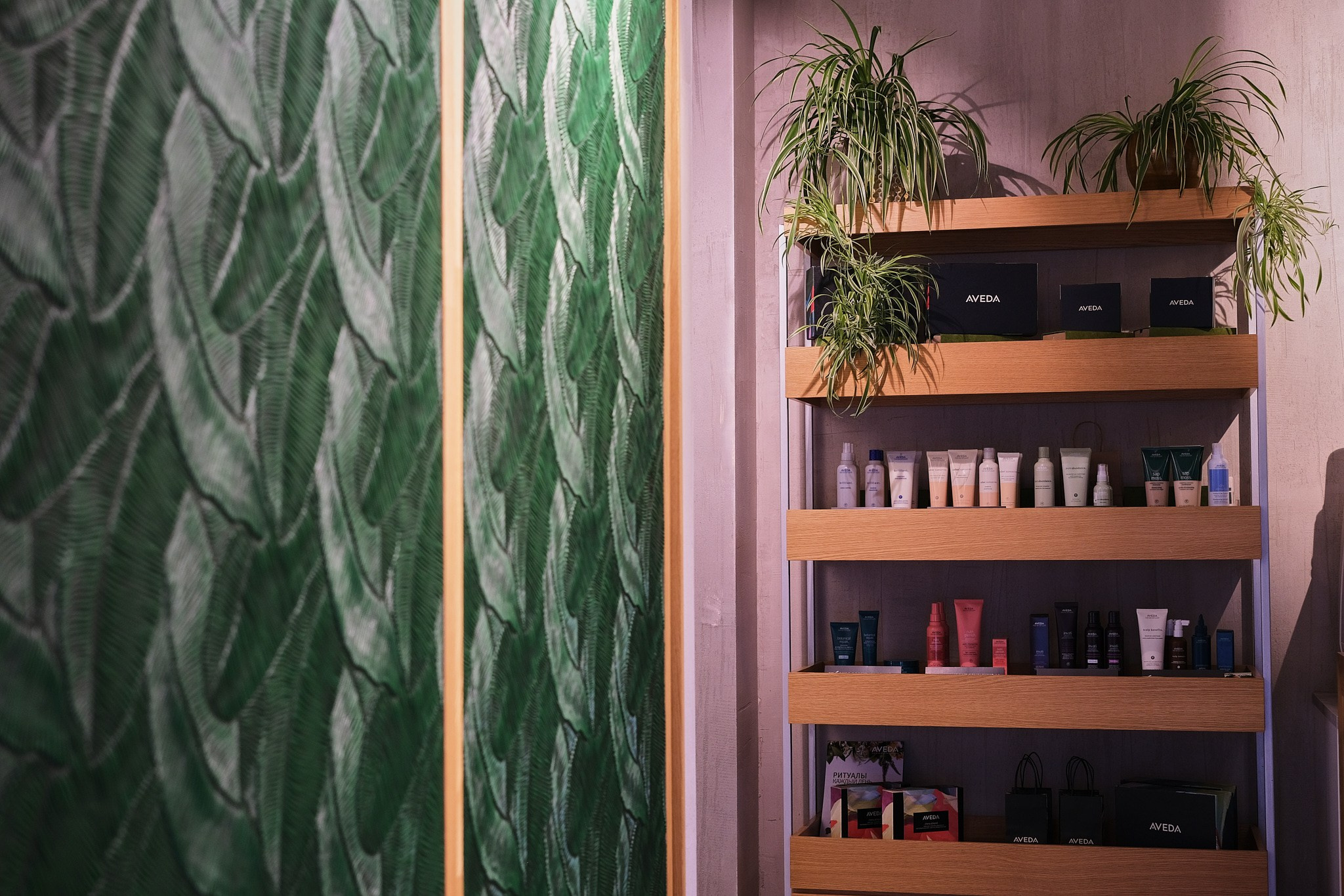 Iris. Организация фото/видео съемки, Москва