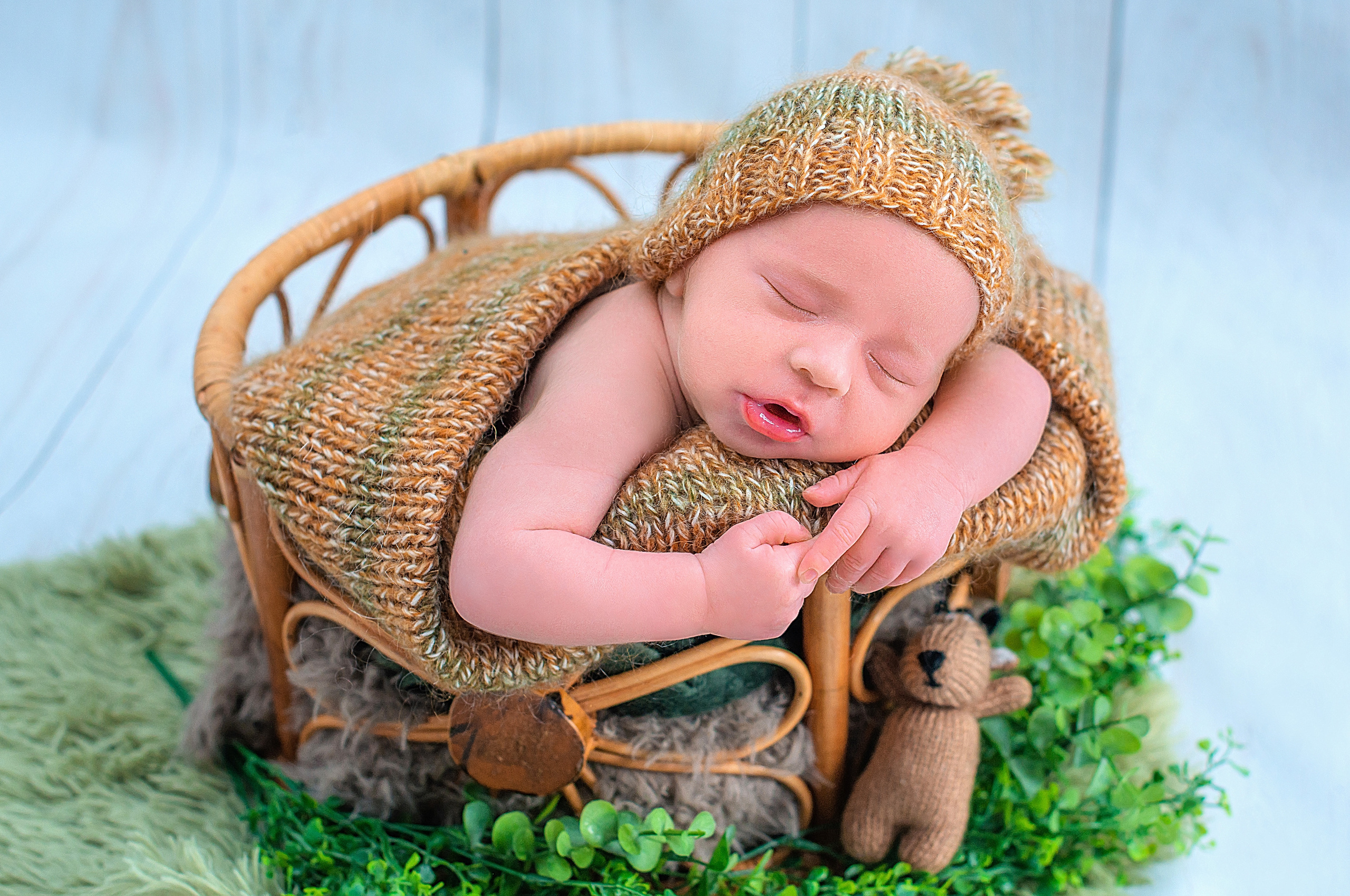 Лев 11 дней. Фотограф новорожденных Краснодар Малышенко Надежда