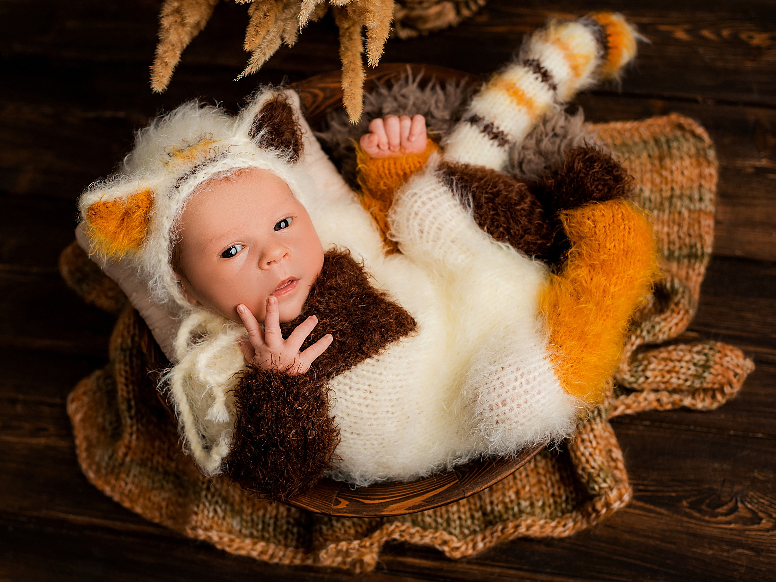 Назар 15 дней. Фотограф новорожденных Краснодар Малышенко Надежда