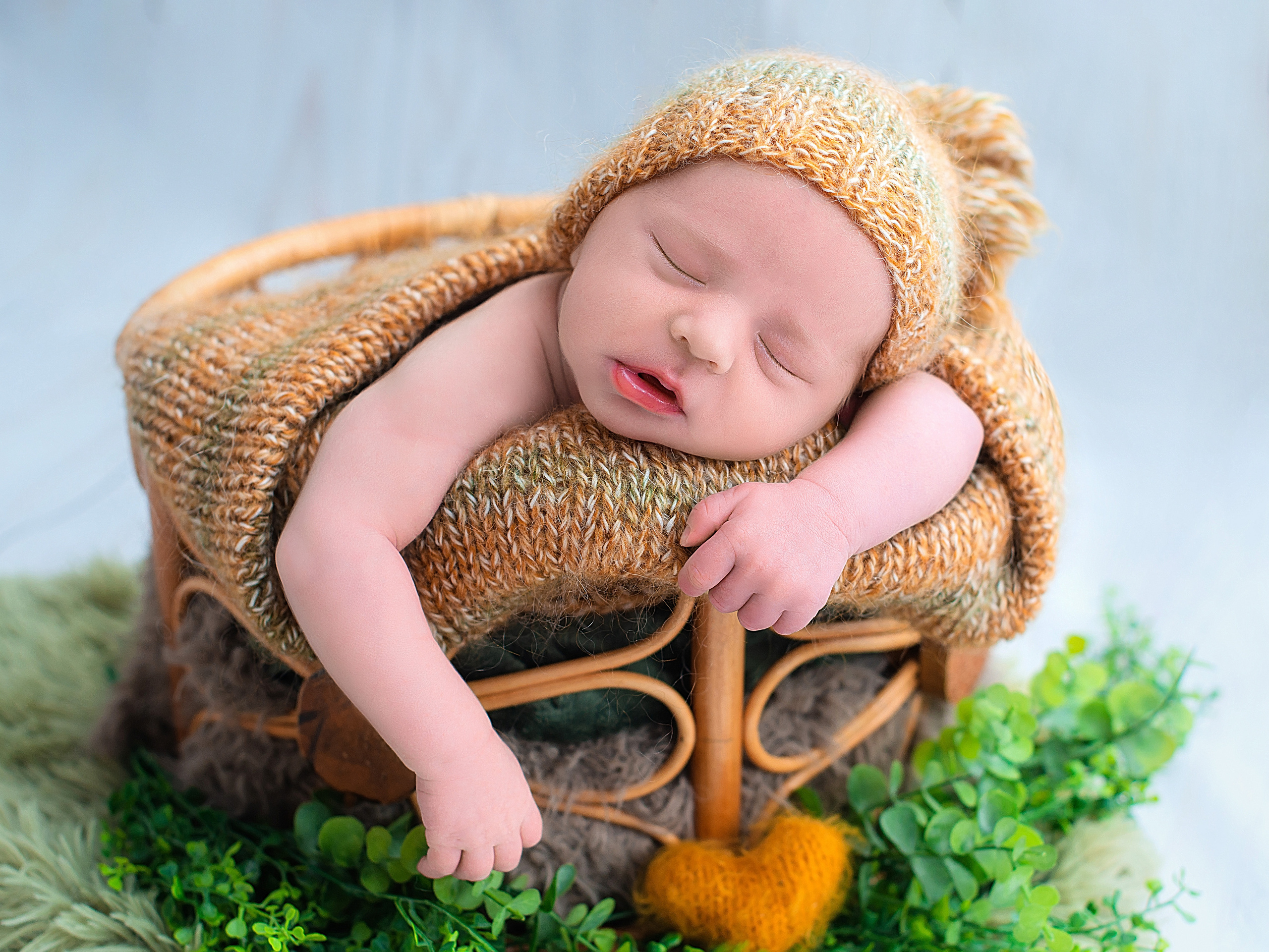 Лев 11 дней. Фотограф новорожденных Краснодар Малышенко Надежда