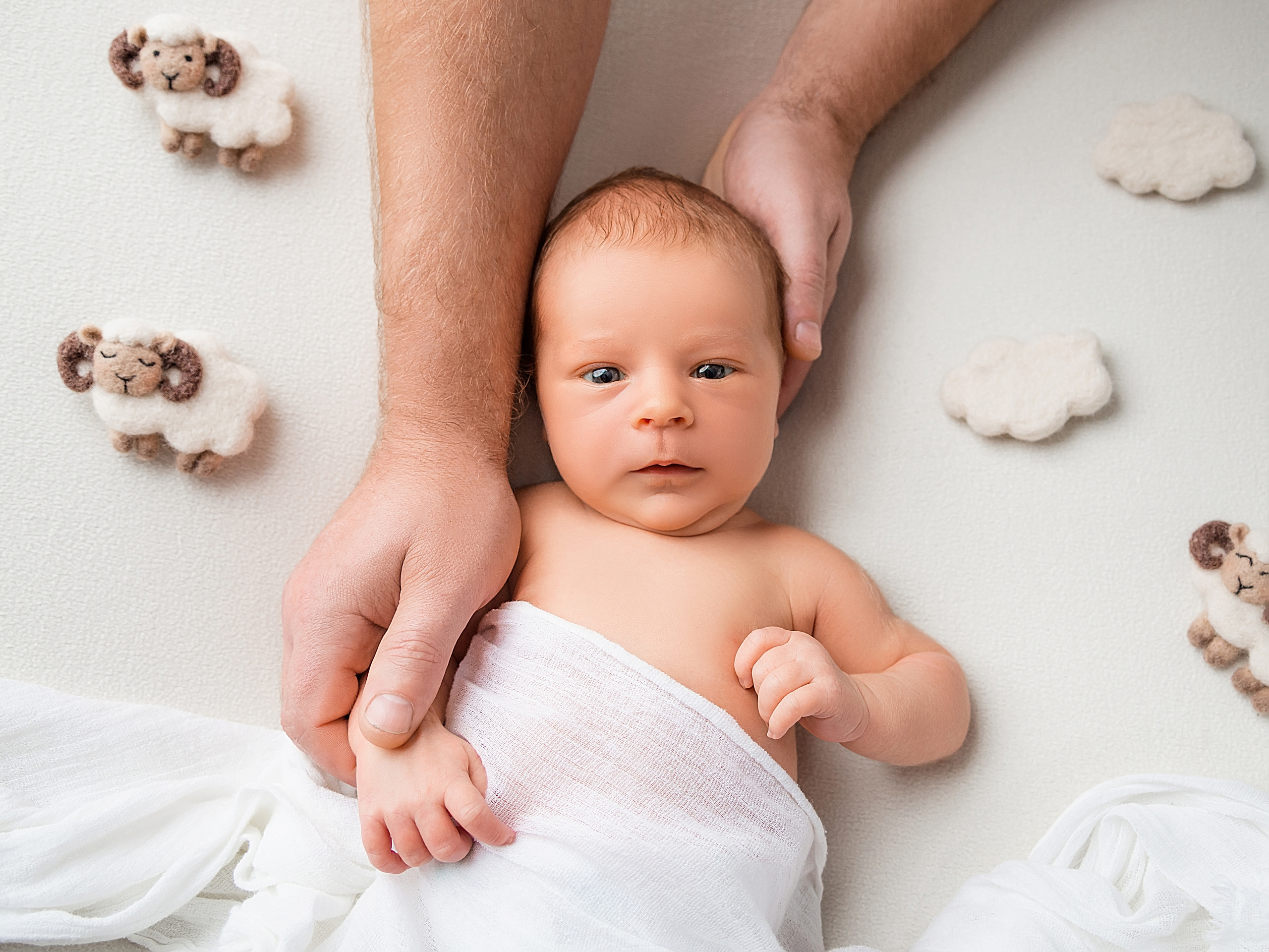 Назар 15 дней. Фотограф новорожденных Краснодар Малышенко Надежда