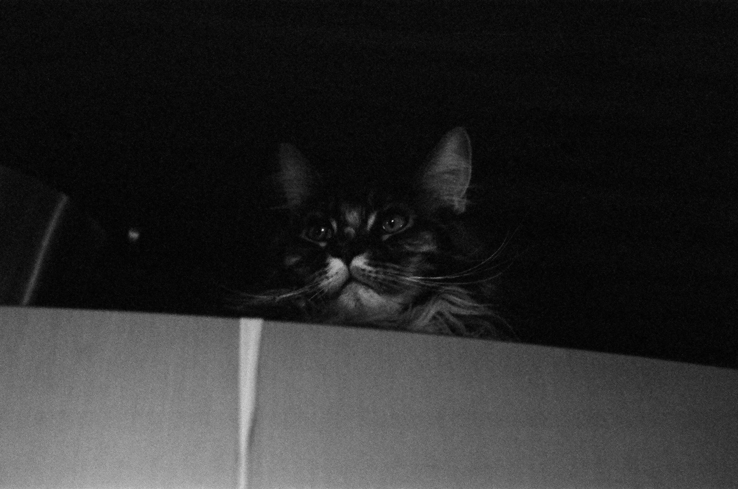 Film. Ruslan UI Dev Page