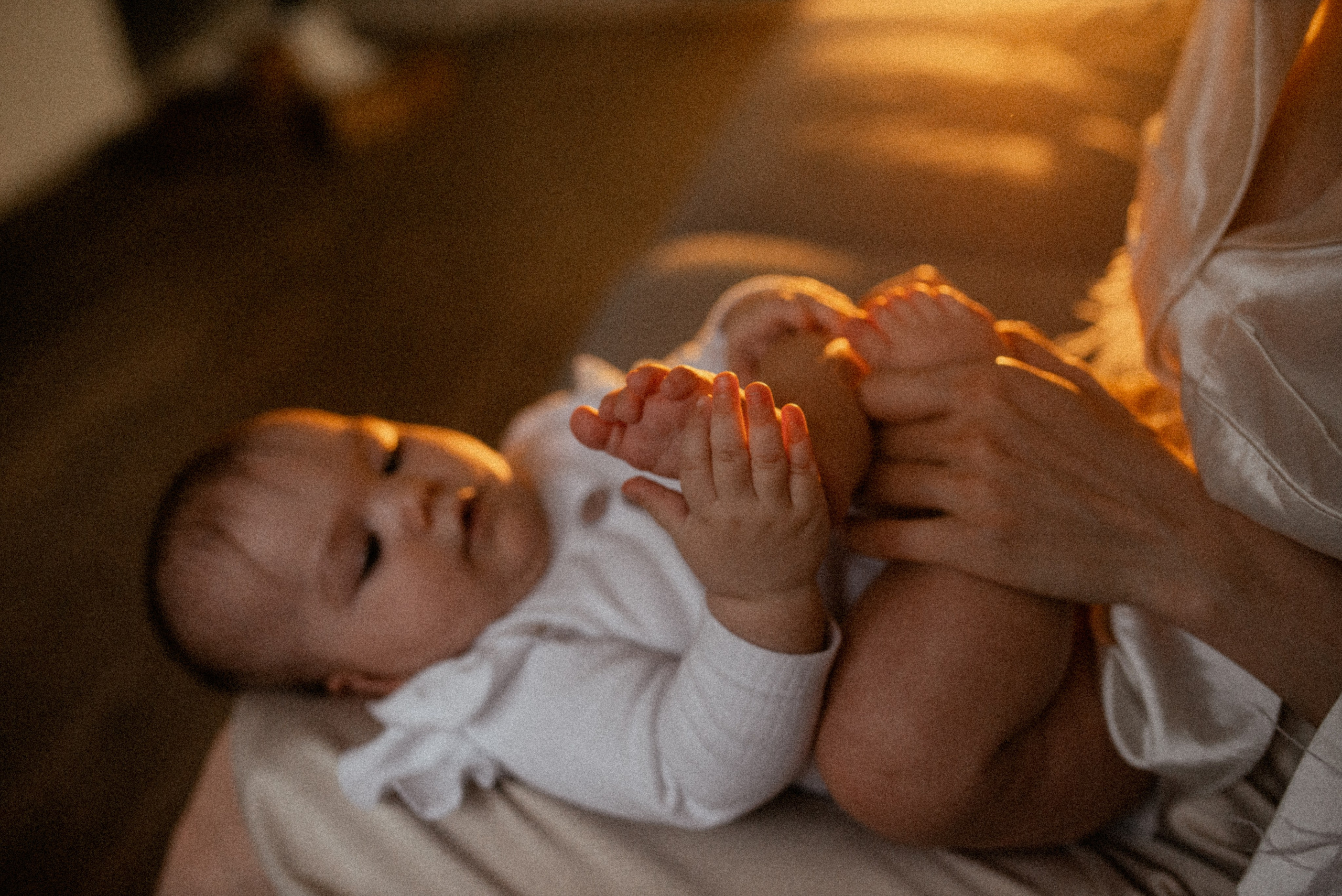 Домашняя 26.11.23. Галина Чекунова Фотограф в Ростове-на-Дону