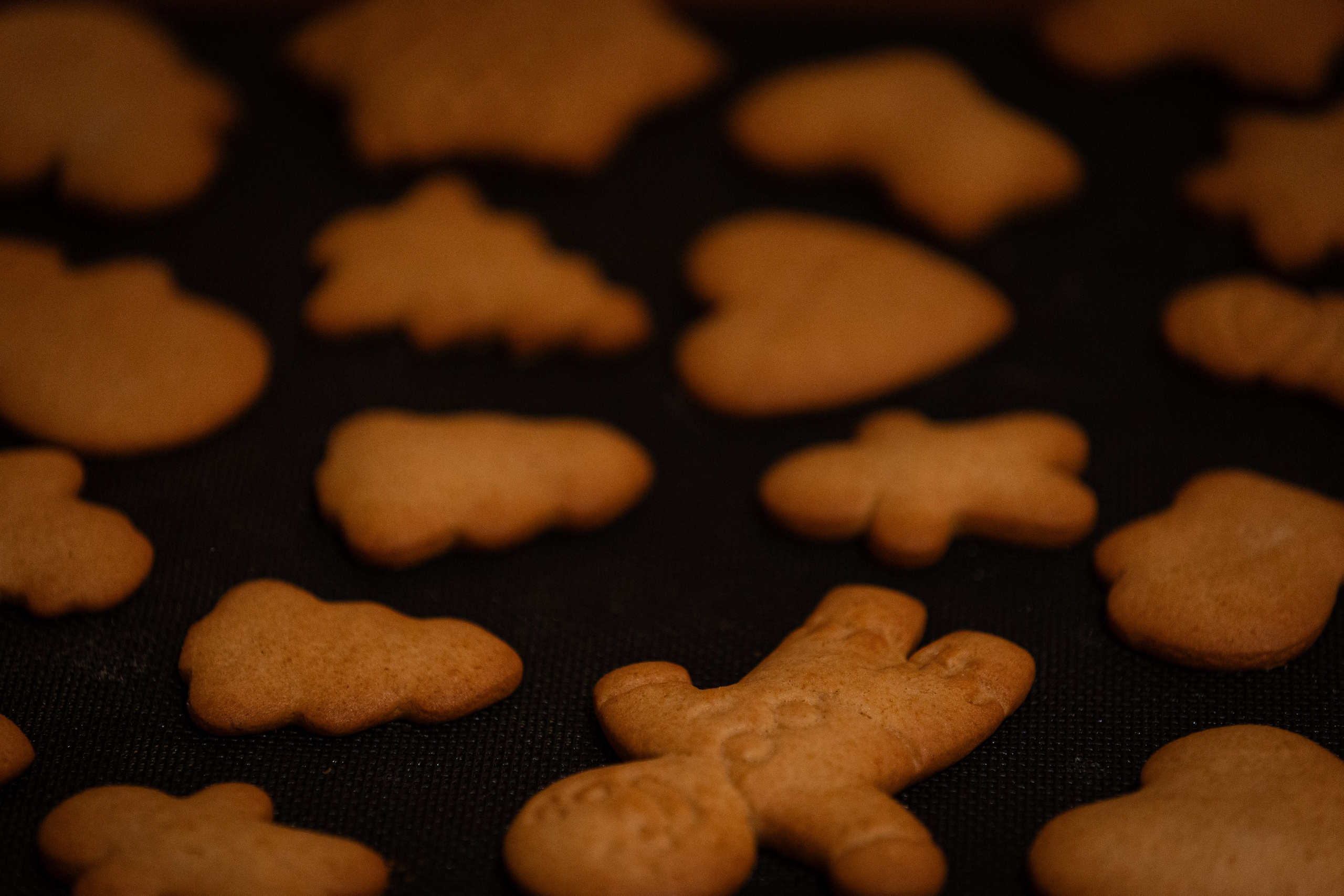 EO Russia. Ваш фотограф — Александра Андрущенко