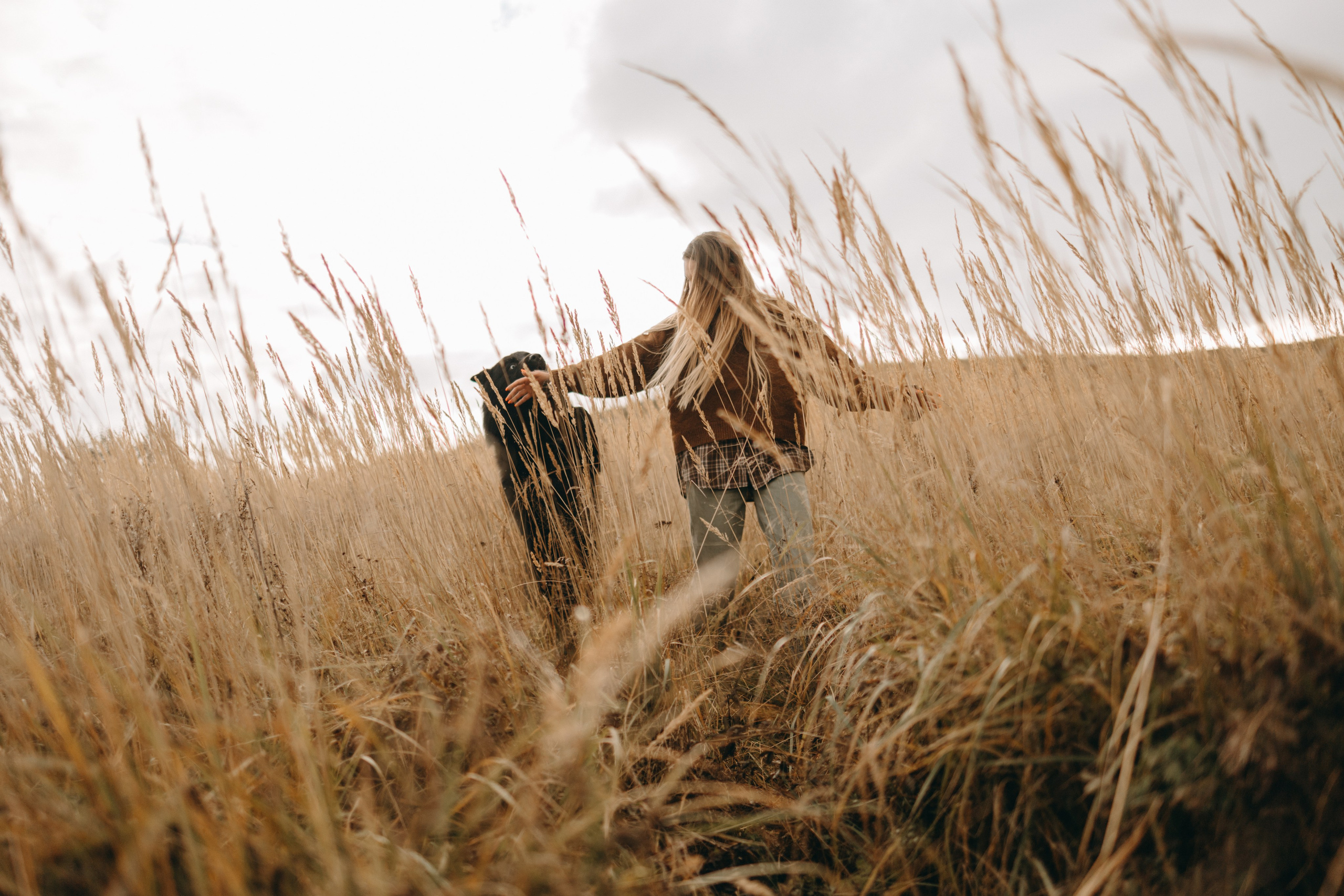 Лора и Джанго. Фотограф — Анималист | Санкт-Петербург