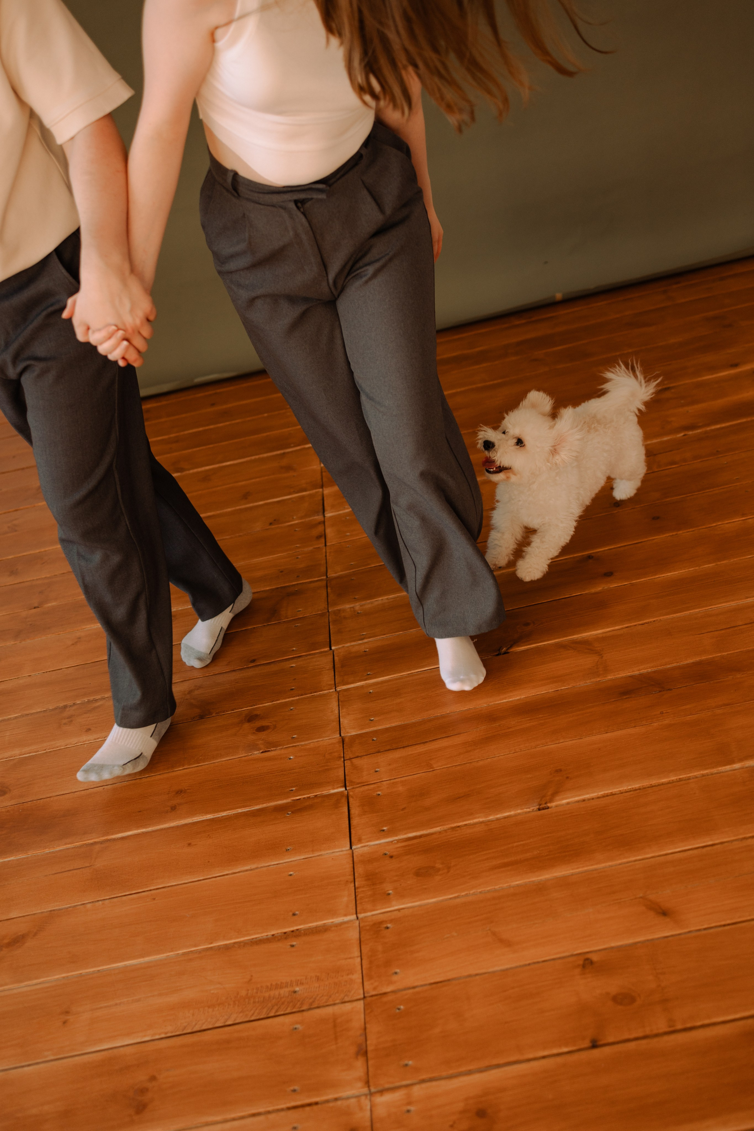 Луна и ее семья. Фотограф — Анималист | Санкт-Петербург