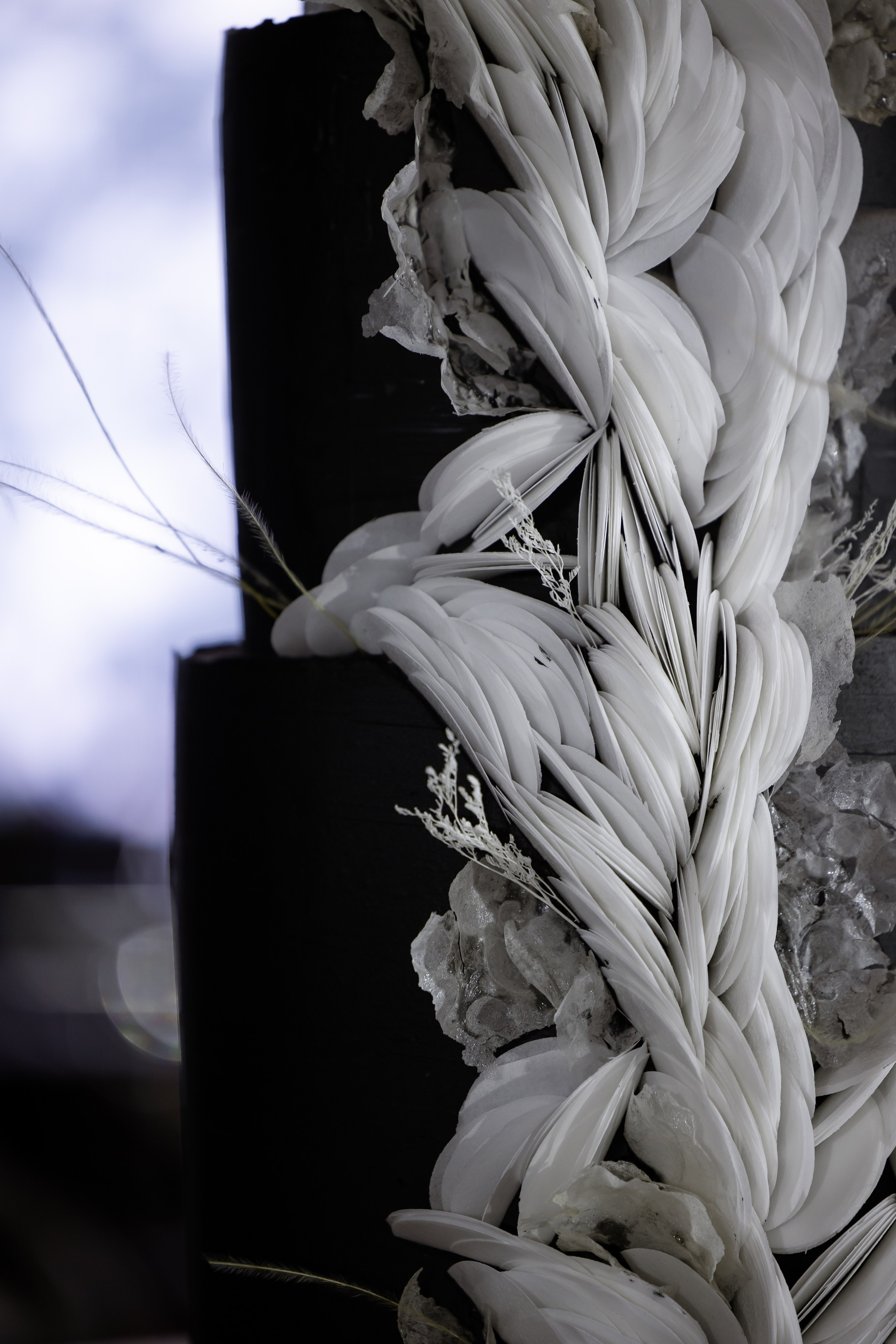 Анна и Николай. Свадебный Фотограф Светлана Карпенко Ростов-на-Дону