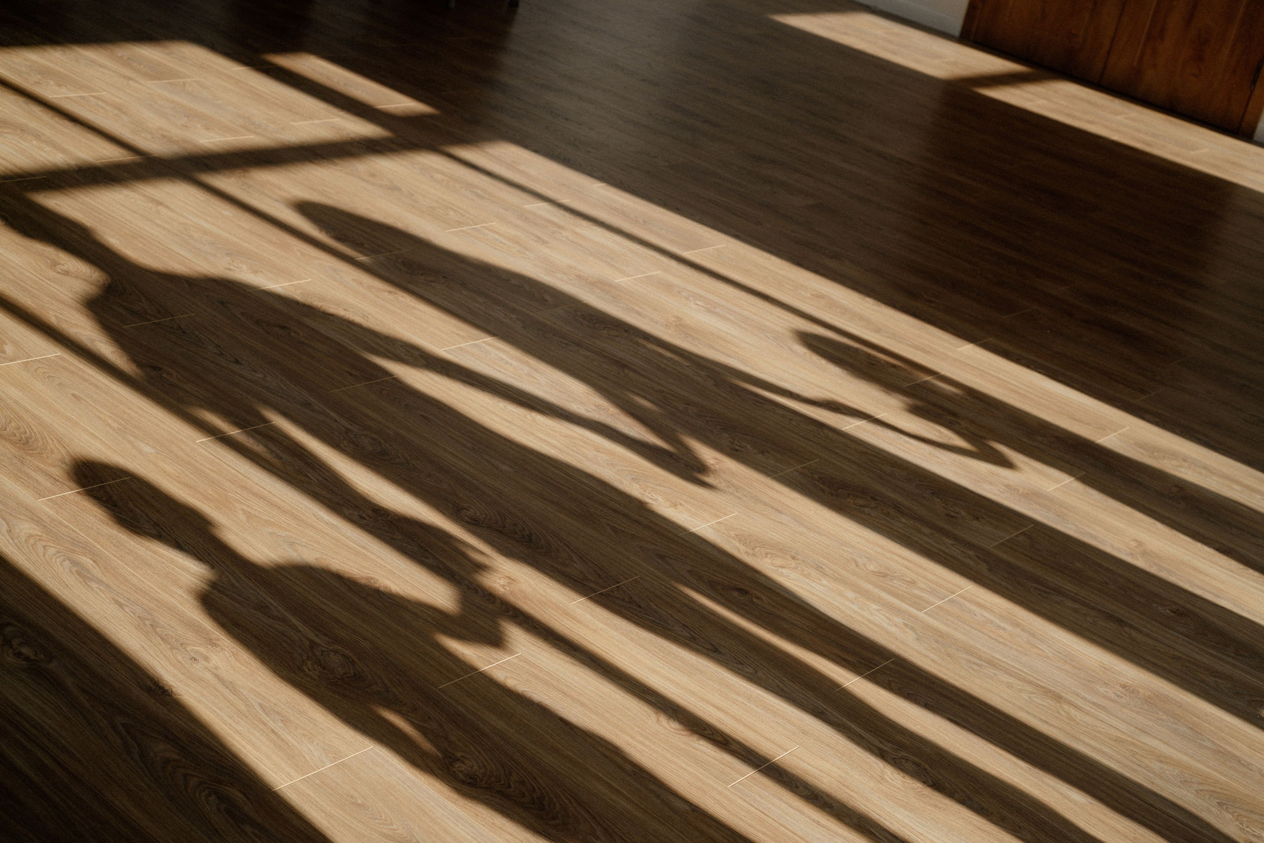 Семья Сунгатуллиных. Фотограф Алёна Евграфова