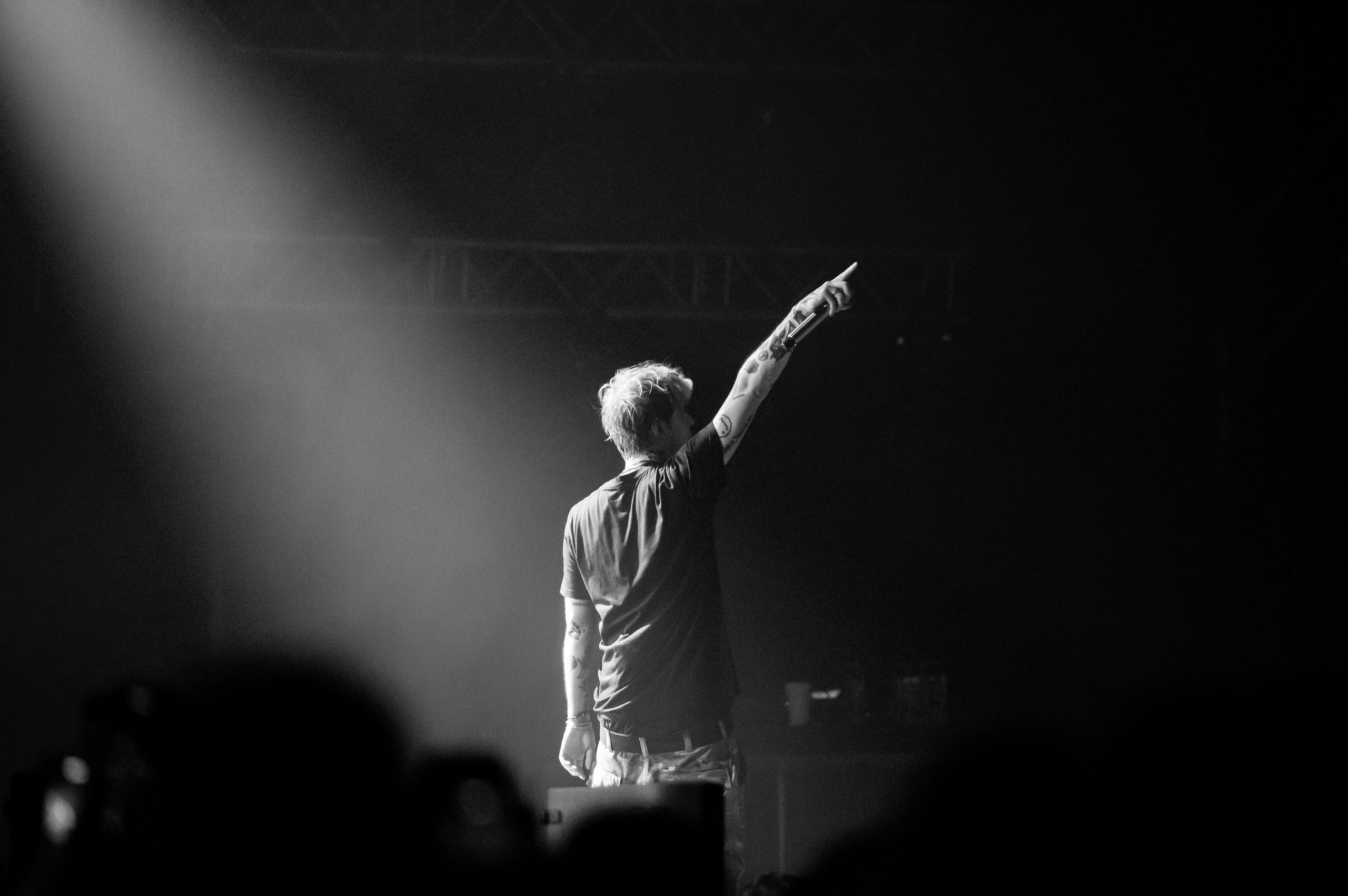 Pharaon. Royal Park. Фотограф в Калининграде Роман Большаков