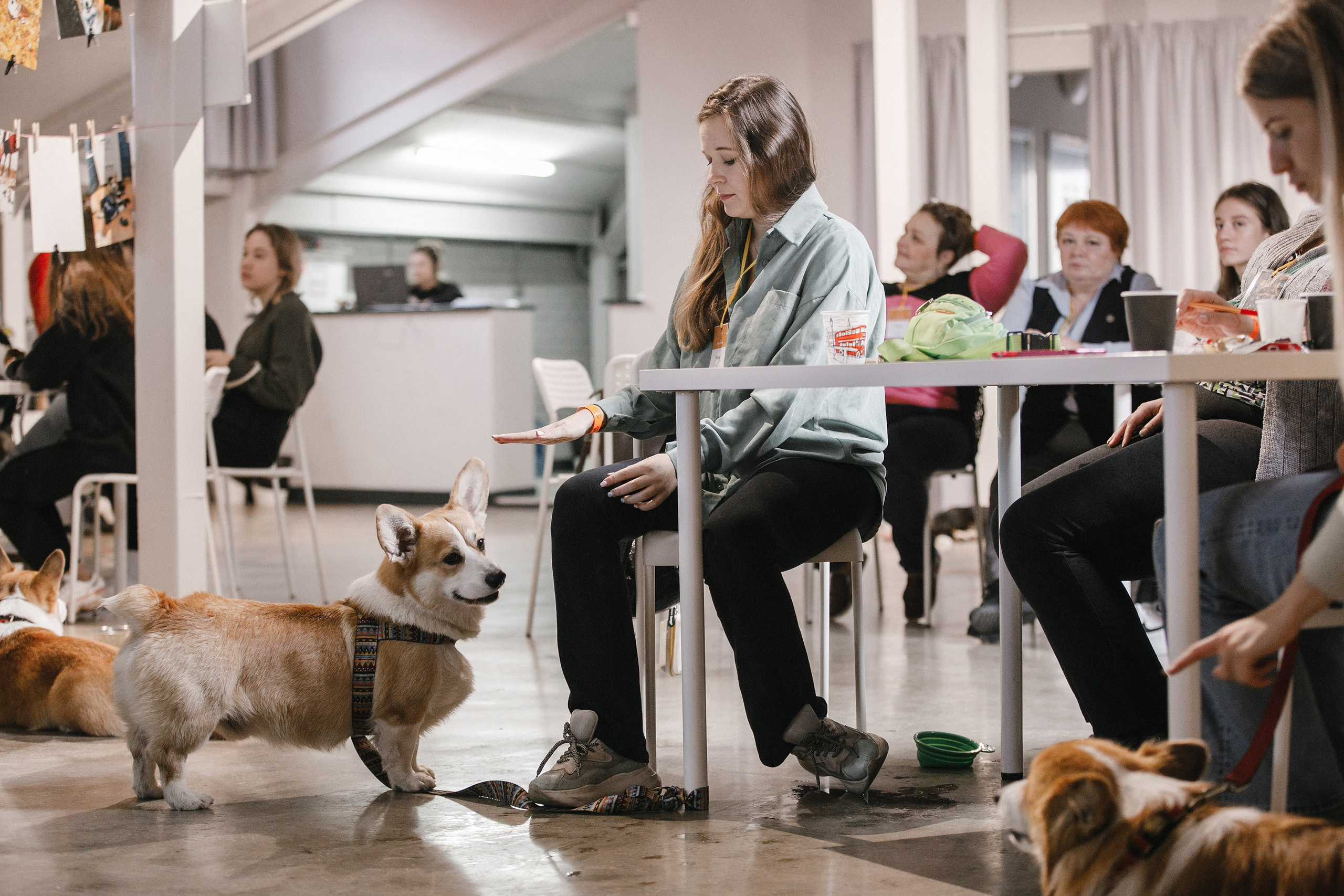 17.10.2021 // Дог-френдли день в Артплей. Фотовыставки serebro.gallery, в которых автором можешь стать ты! | Москва