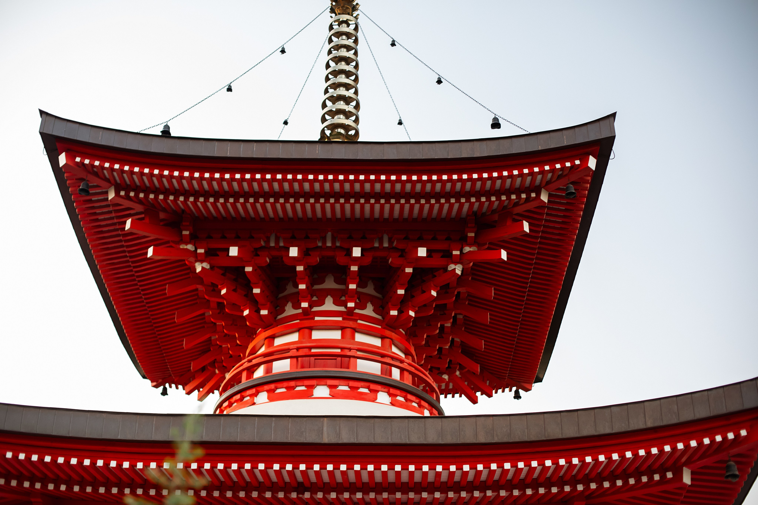 Фотосессия в Японском саду. Https://malovafoto.ru