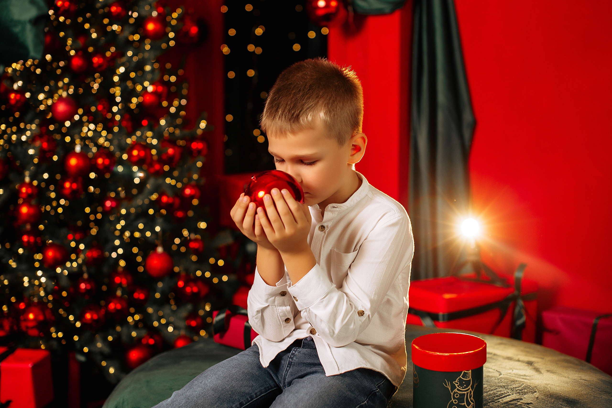 Новогодняя. Https://malovafoto.ru