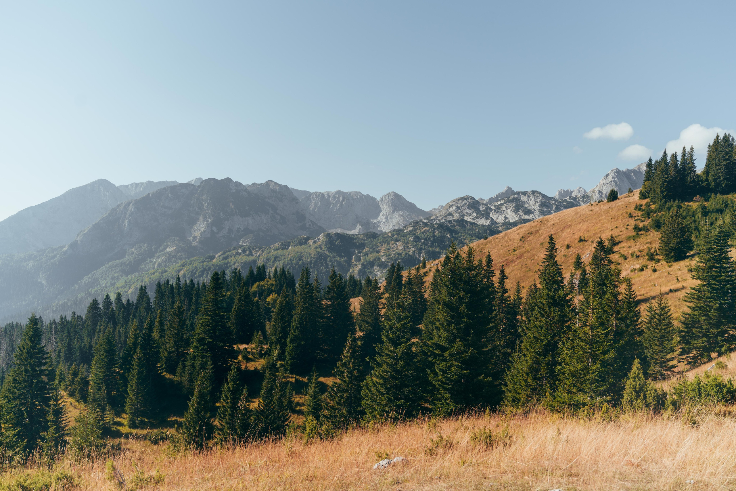 ЦРВЕНА ГРЕДА. ЧЕРНОГОРИЯ. Фотограф в Белграде Чугреева Елена