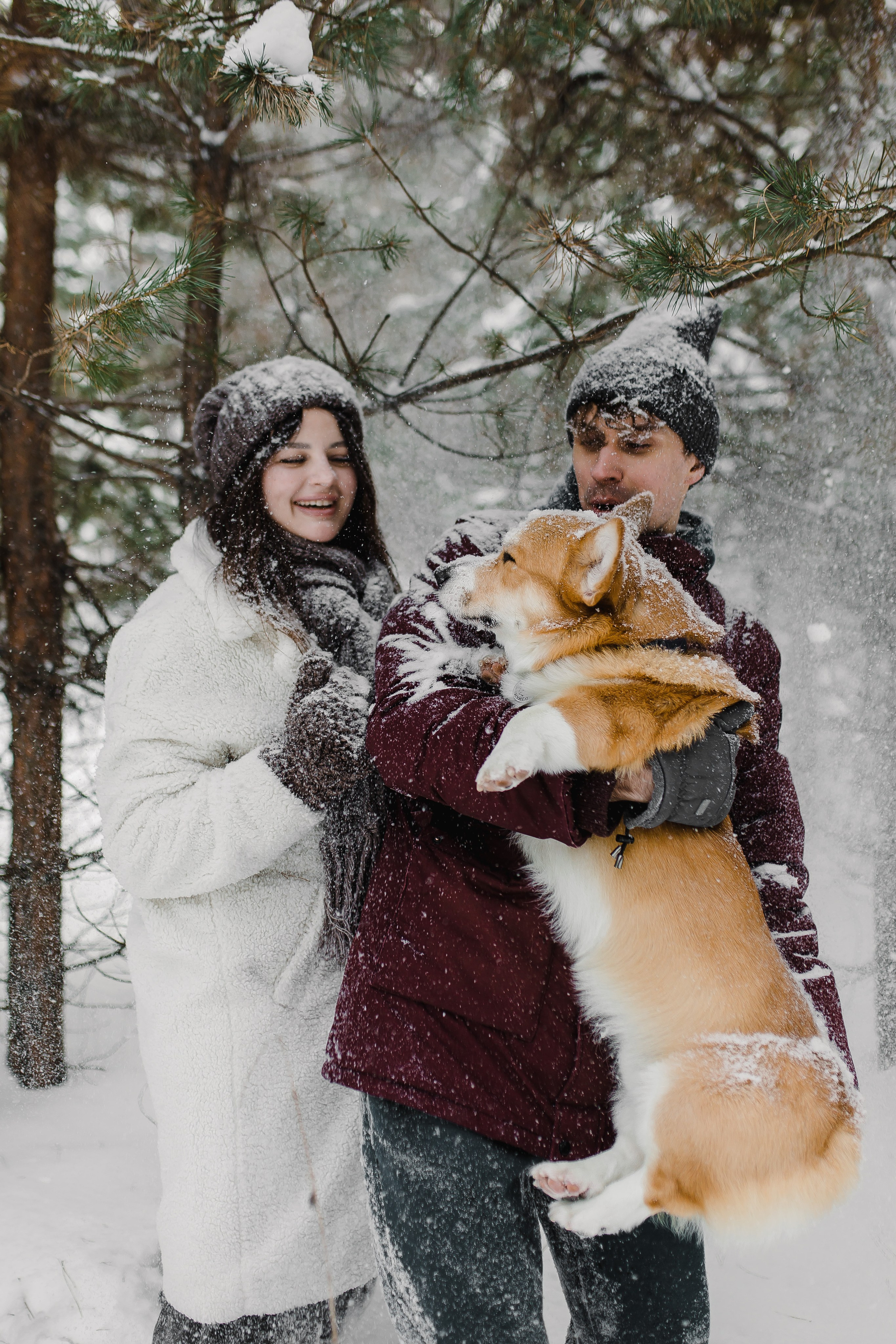 Дима и Даша. Свадебный и семейный фотограф в Томске Алексей