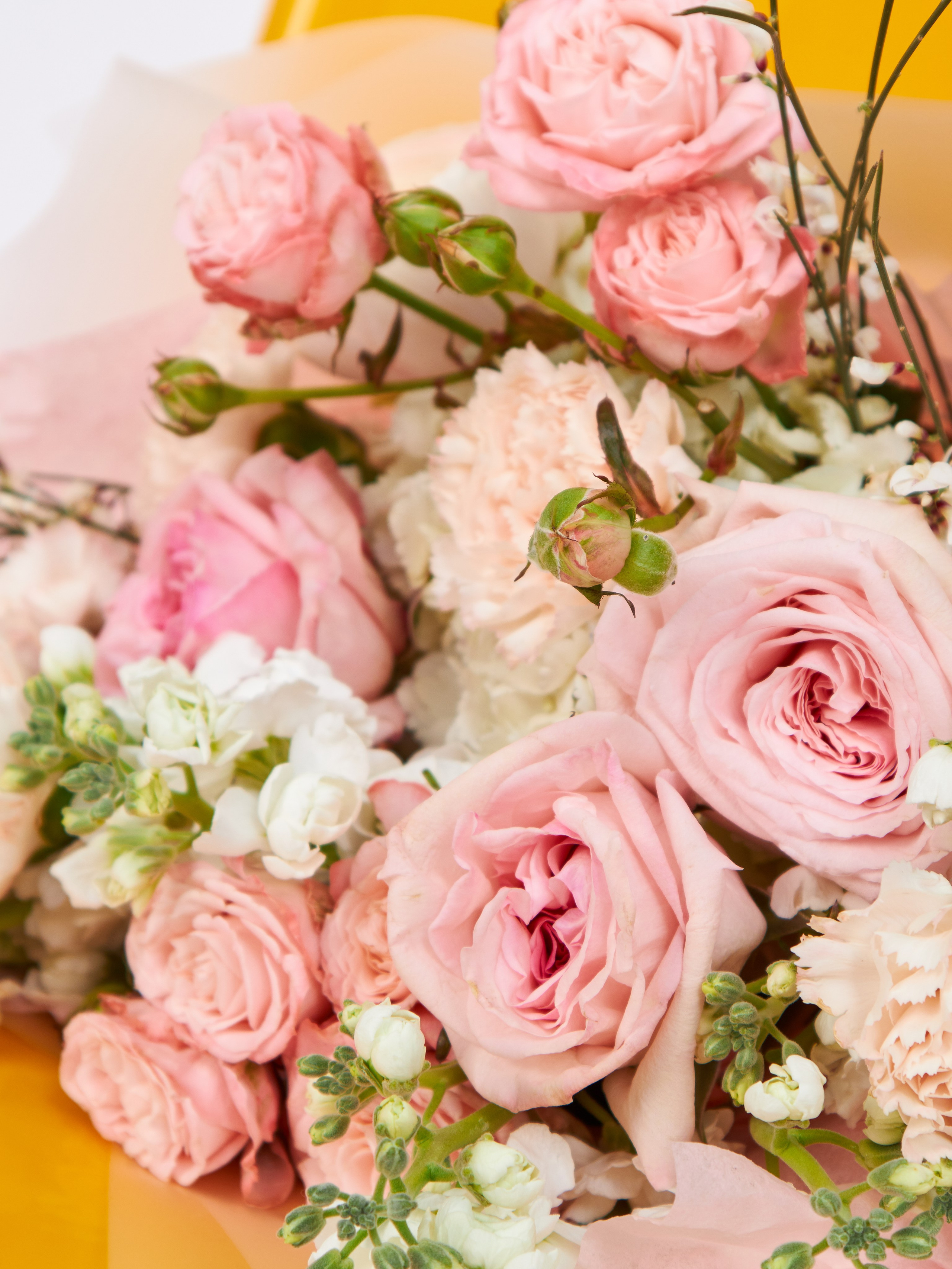 Съемка каталога одежды на фоне конверсионных цветов (не только белый) в студии Москвы для увеличения продаж