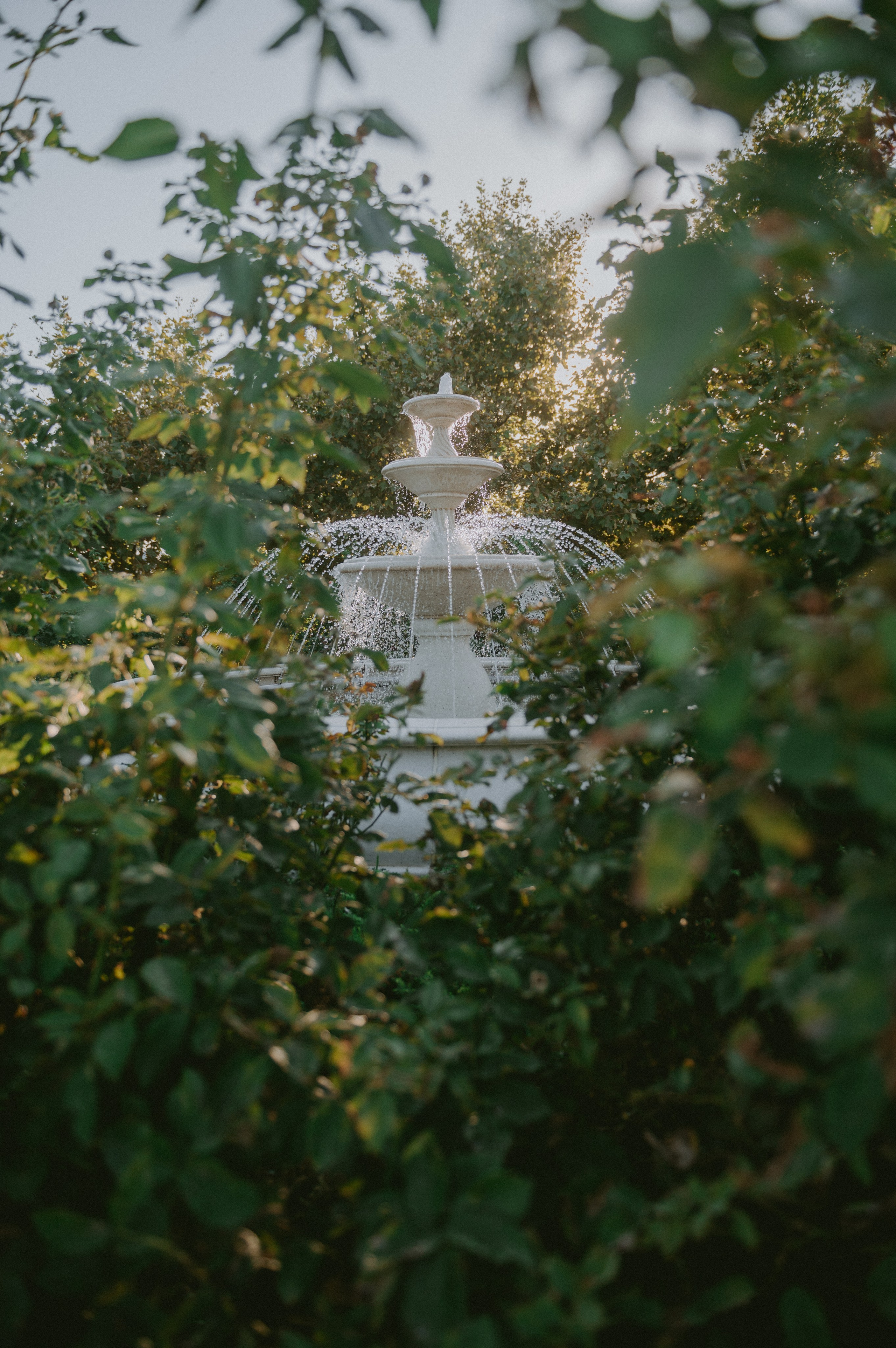Дарья&Родион. Свадебный и семейный фотограф город Темрюк Фотостудия Темрюк