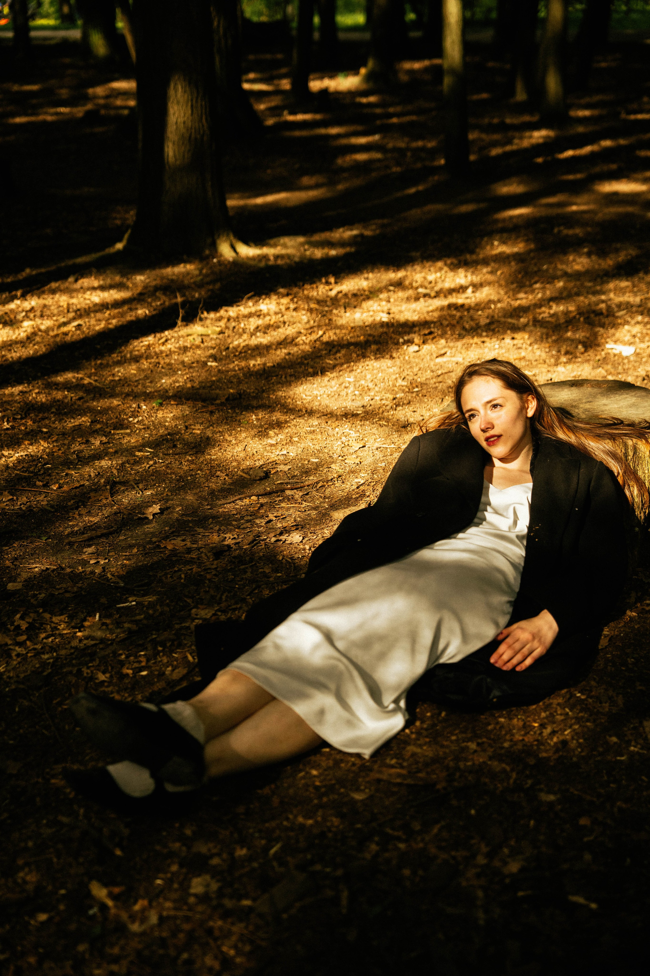 Галерея. Beardy Pix