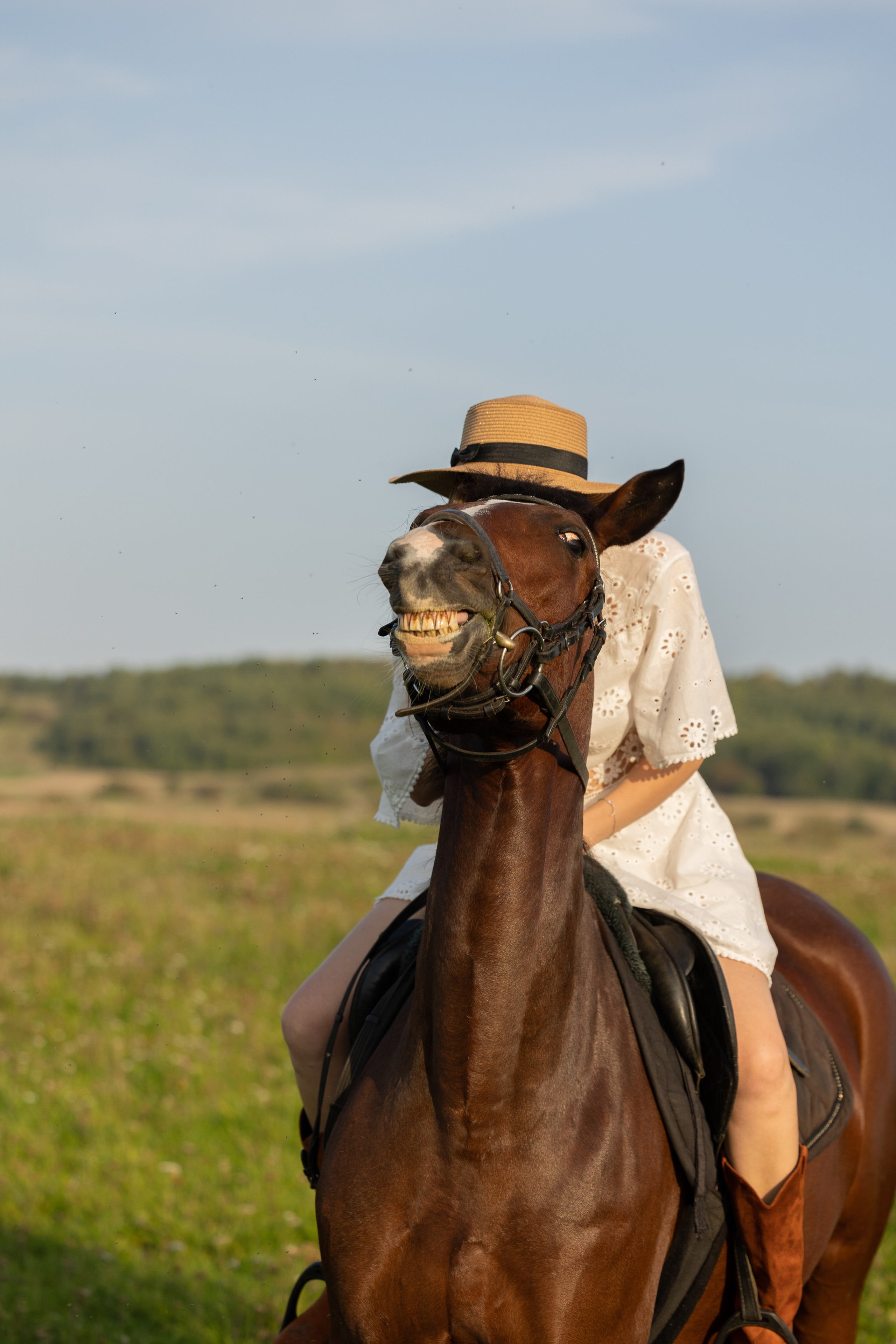 Лошадка на ранчо, модель Екатерина. Главная