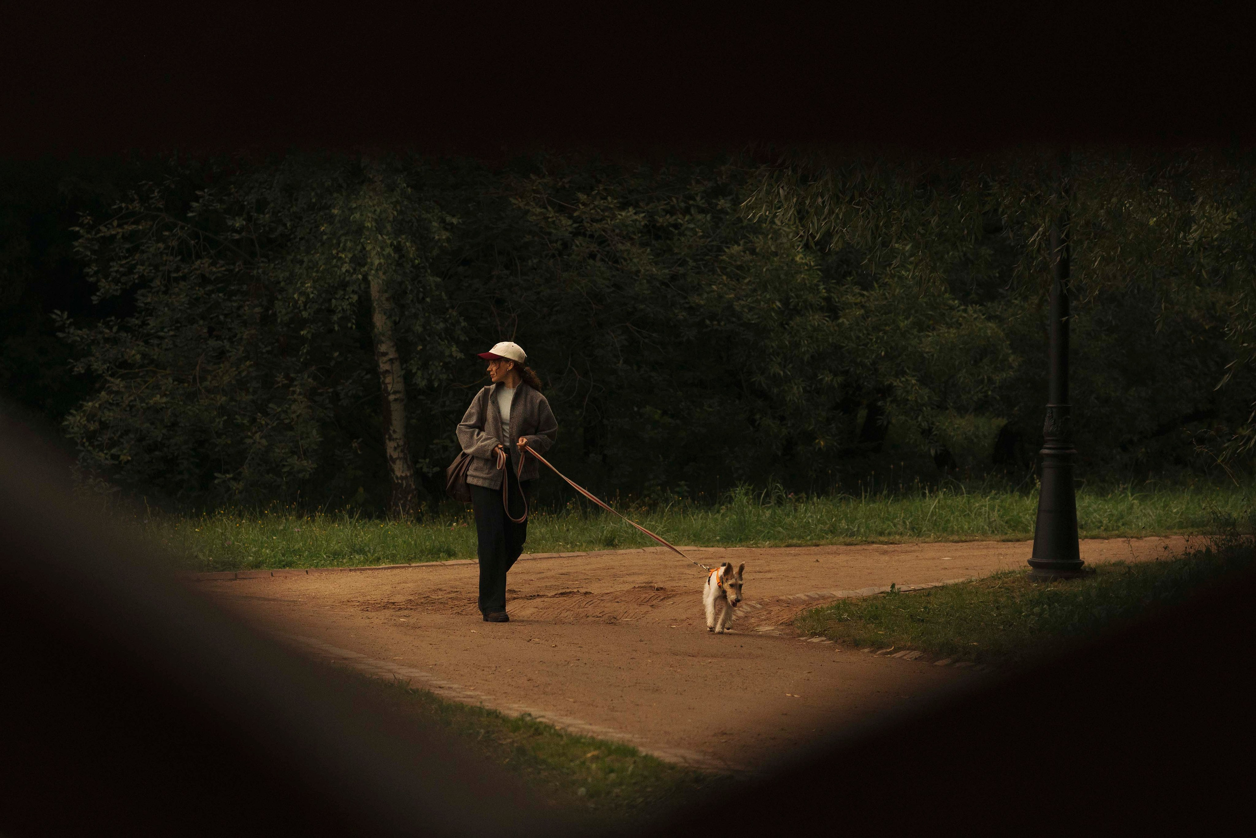 Мартин. Фотограф- анималист Александра Матвеева