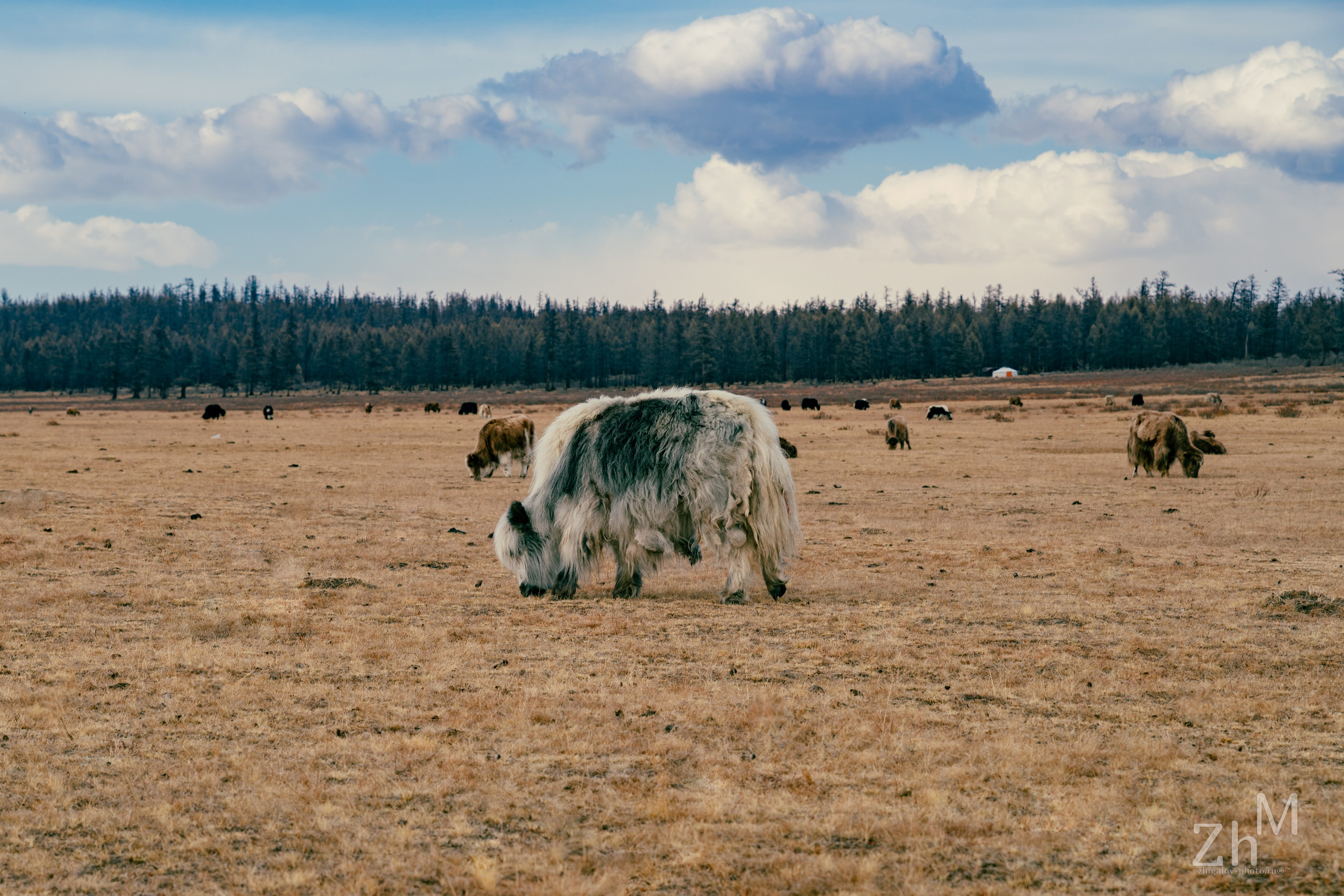 Пейзажи. Семейный и свадебный фотограф в Иркутске Максим Жигалов