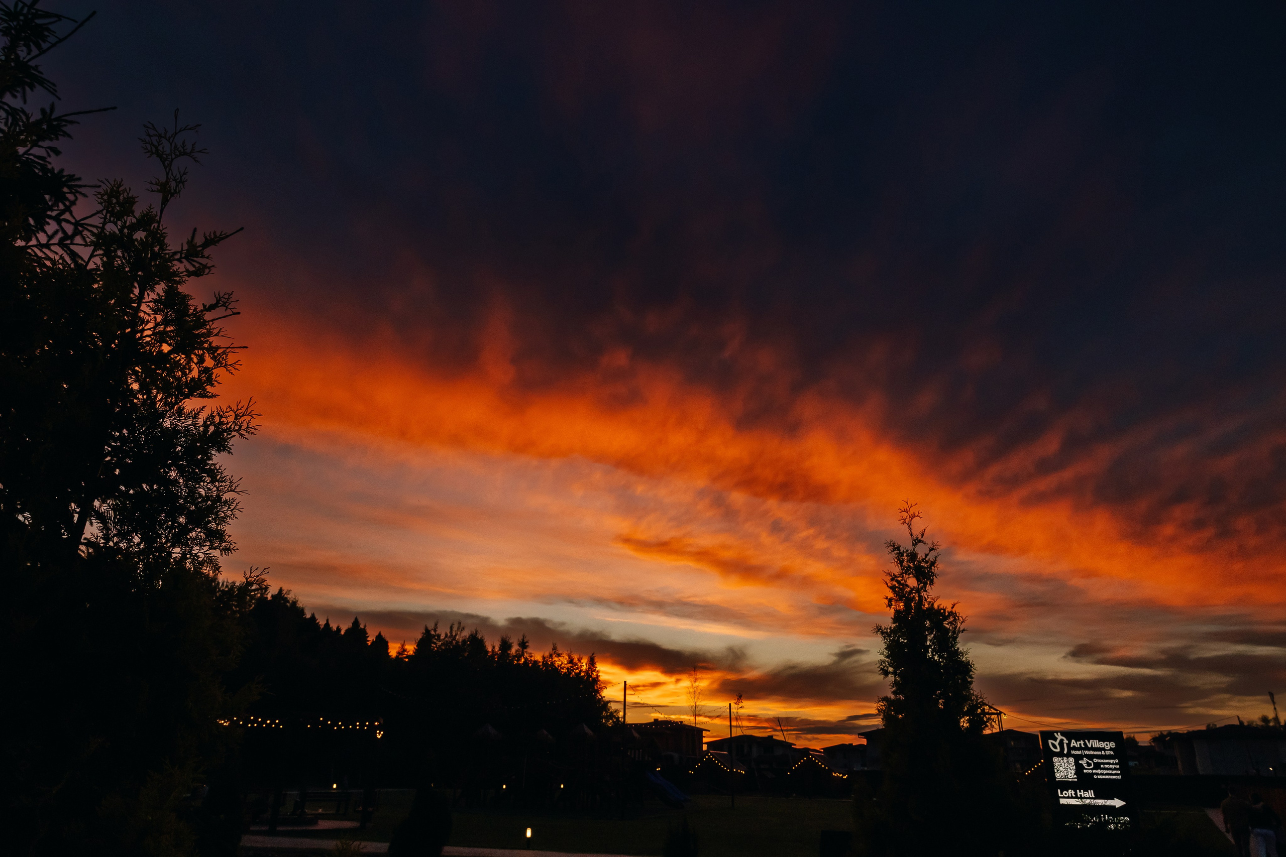 Даша & Антон. Агентство по организации мероприятий