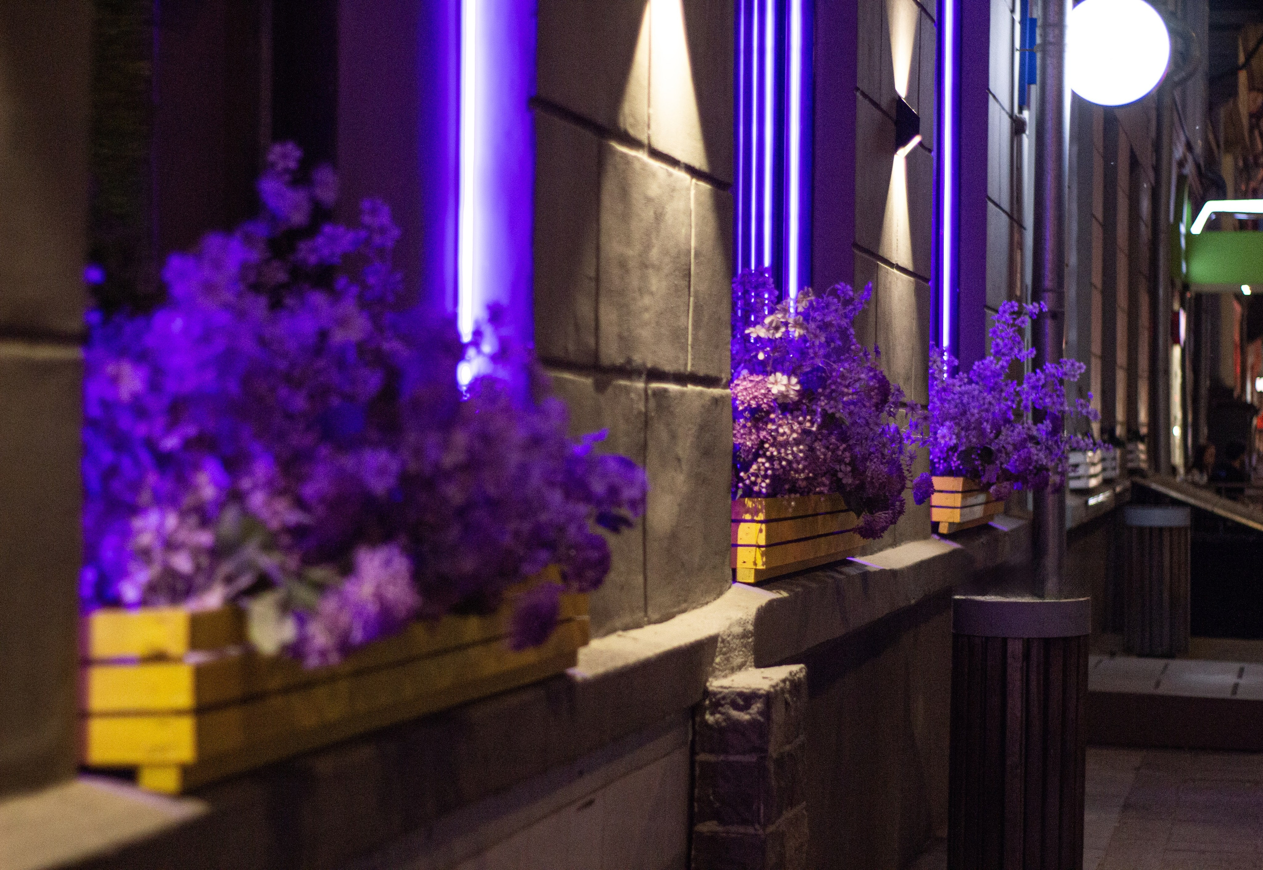 Street съёмка. Dyachenko Elena — фотограф из Сибири