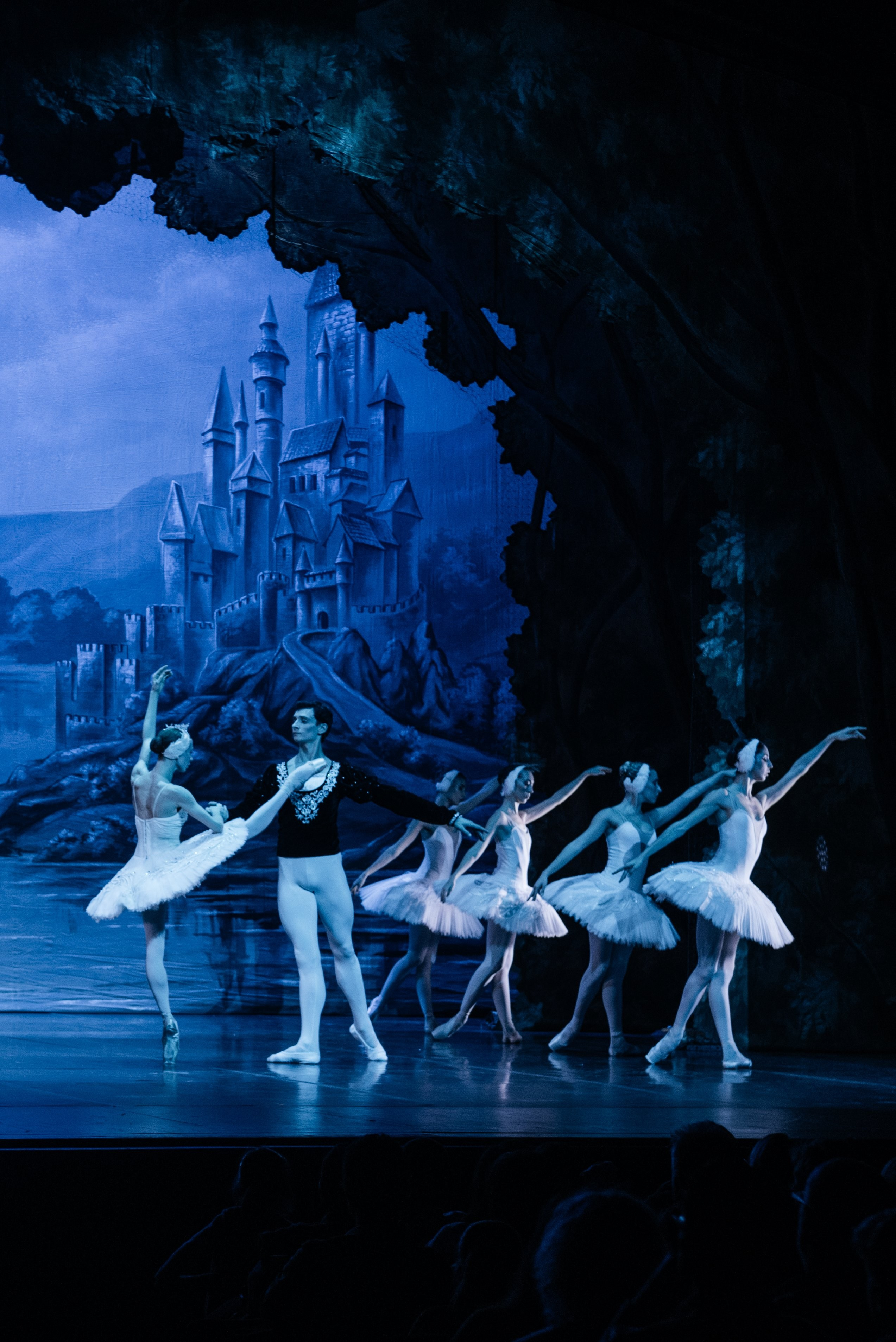 Ballet « Lac des Cygnes » à Genève. Photographe en Suisse et en Europe Anna Alekseenko