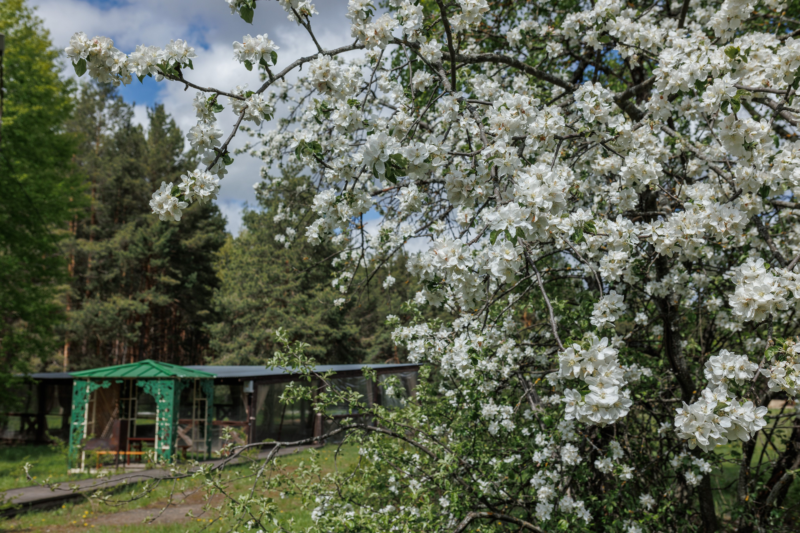 База отдыха «Металлург». Фотограф городских и семейных событий в Нижнем Новгороде Артем Карпухин