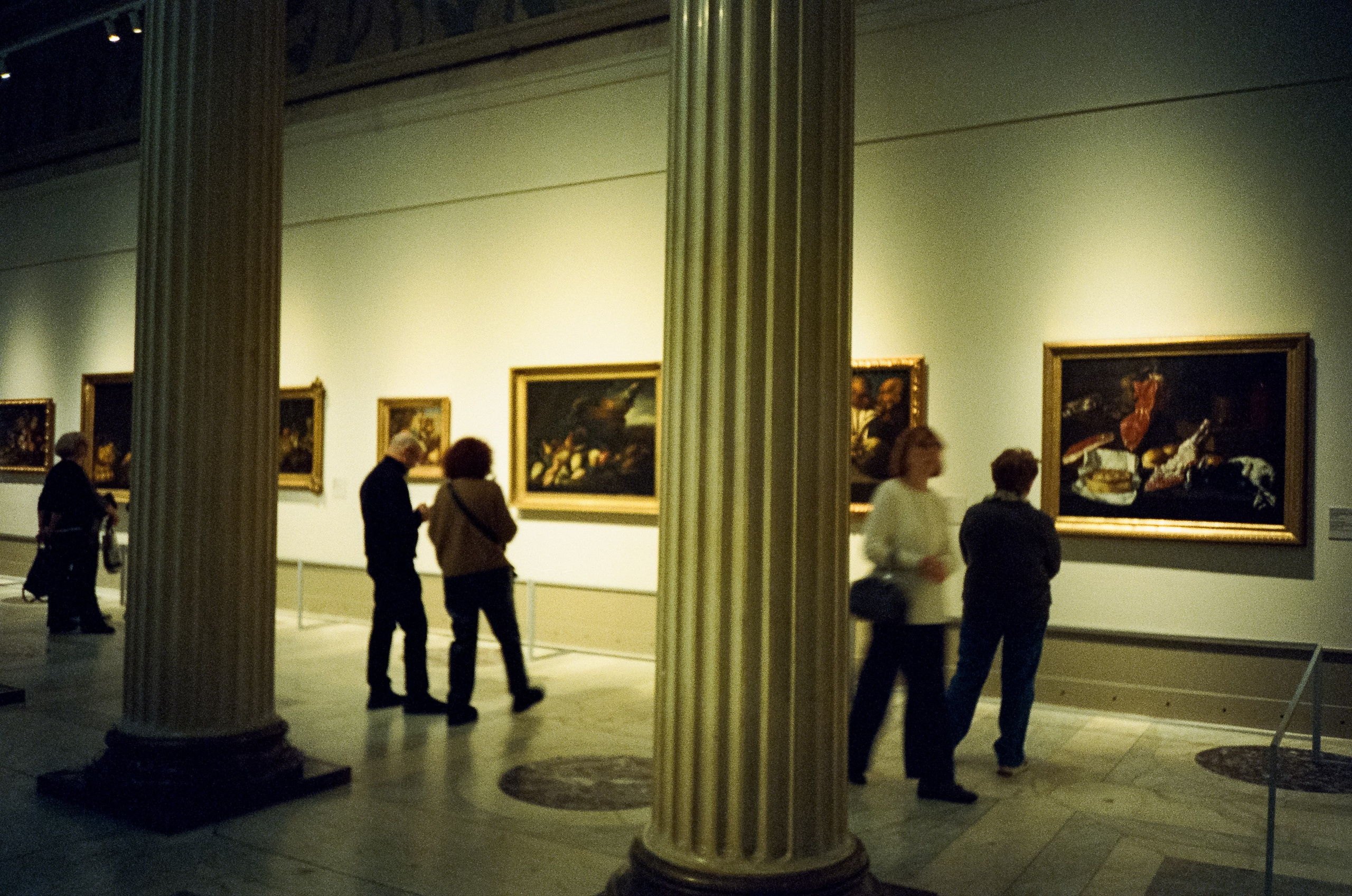 Цветы, плоды, музыкальные инструменты в Пушкинском музее. Фотограф-документалист Мария Осокина