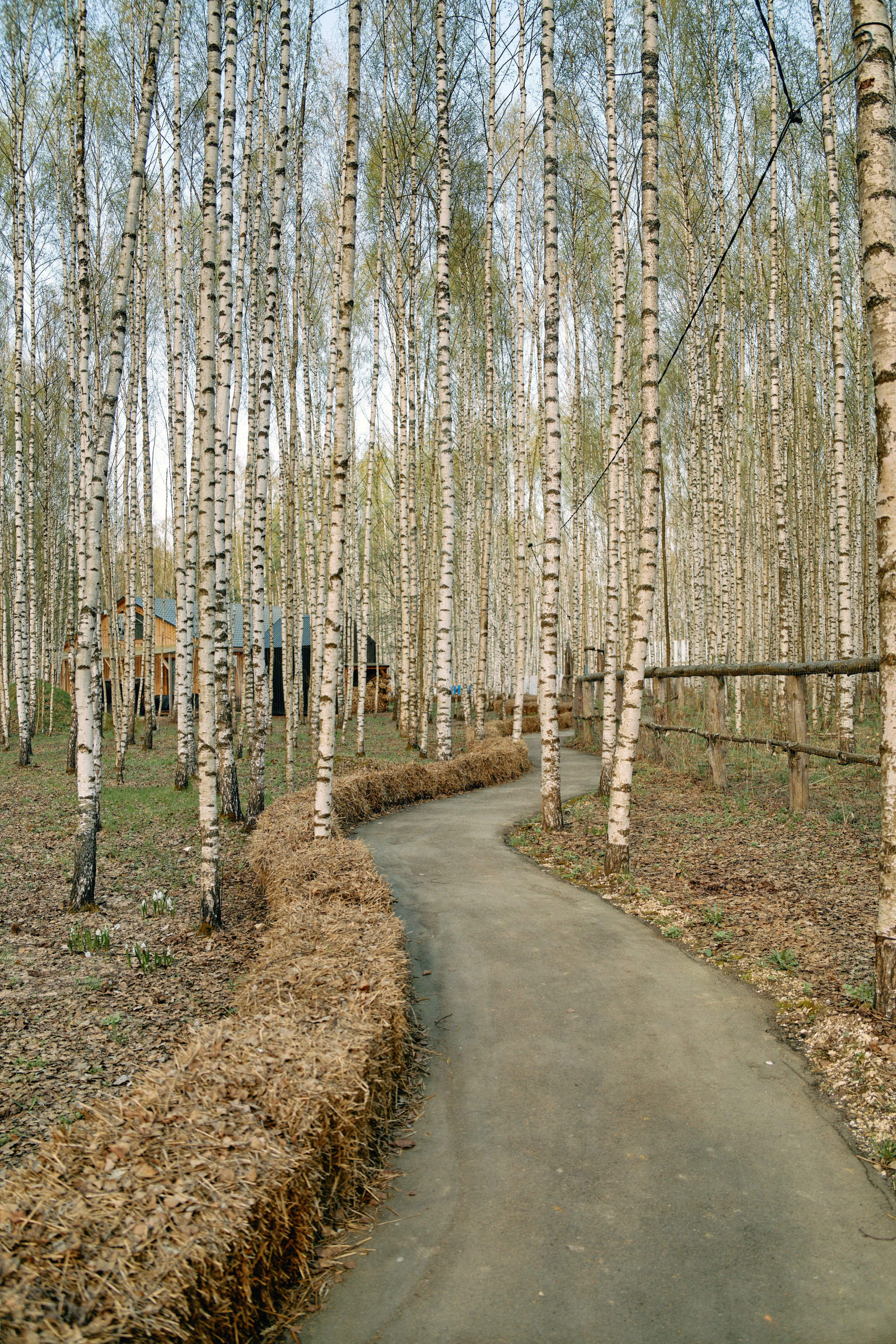 Бутик-отель Поле летом. Профессиональный Фотограф во Владимире, в Москве и в Суздале — Полина Романычева
