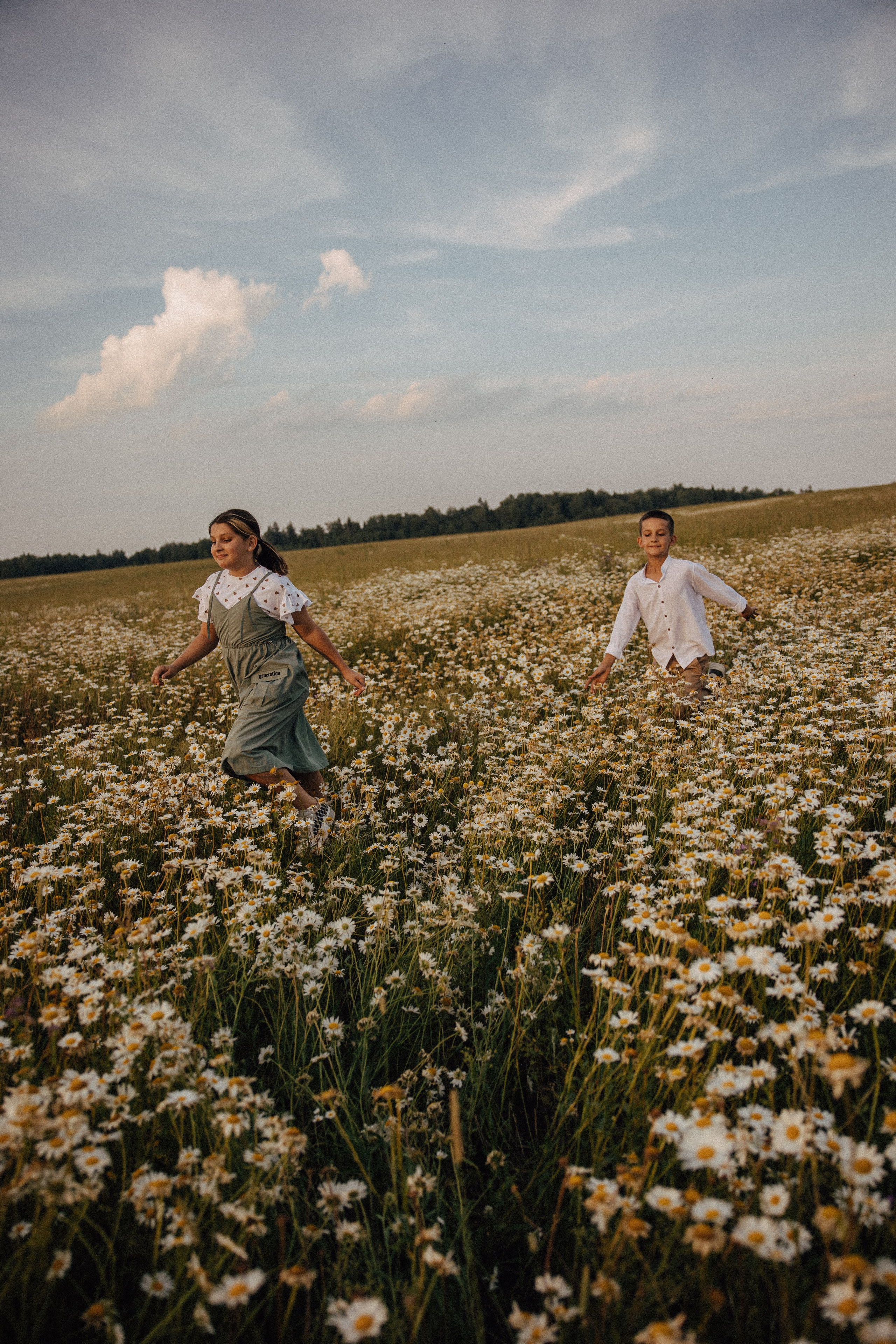 Ромашковое поле. Семейный и свадебный фотограф в Москве Вероника Жибинова
