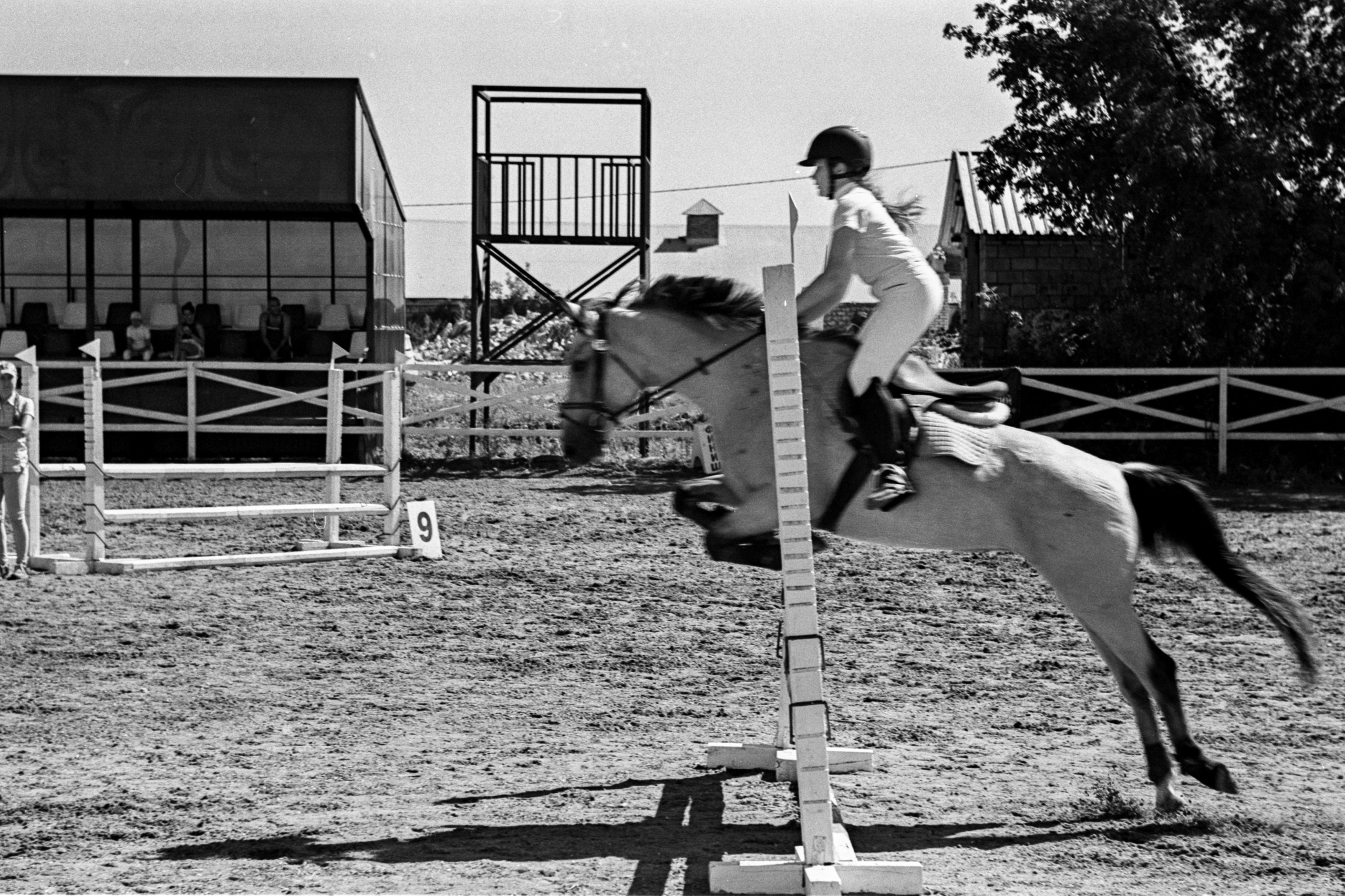 Пленочная история. Дмитрий Пропадалин, Нейрофотография