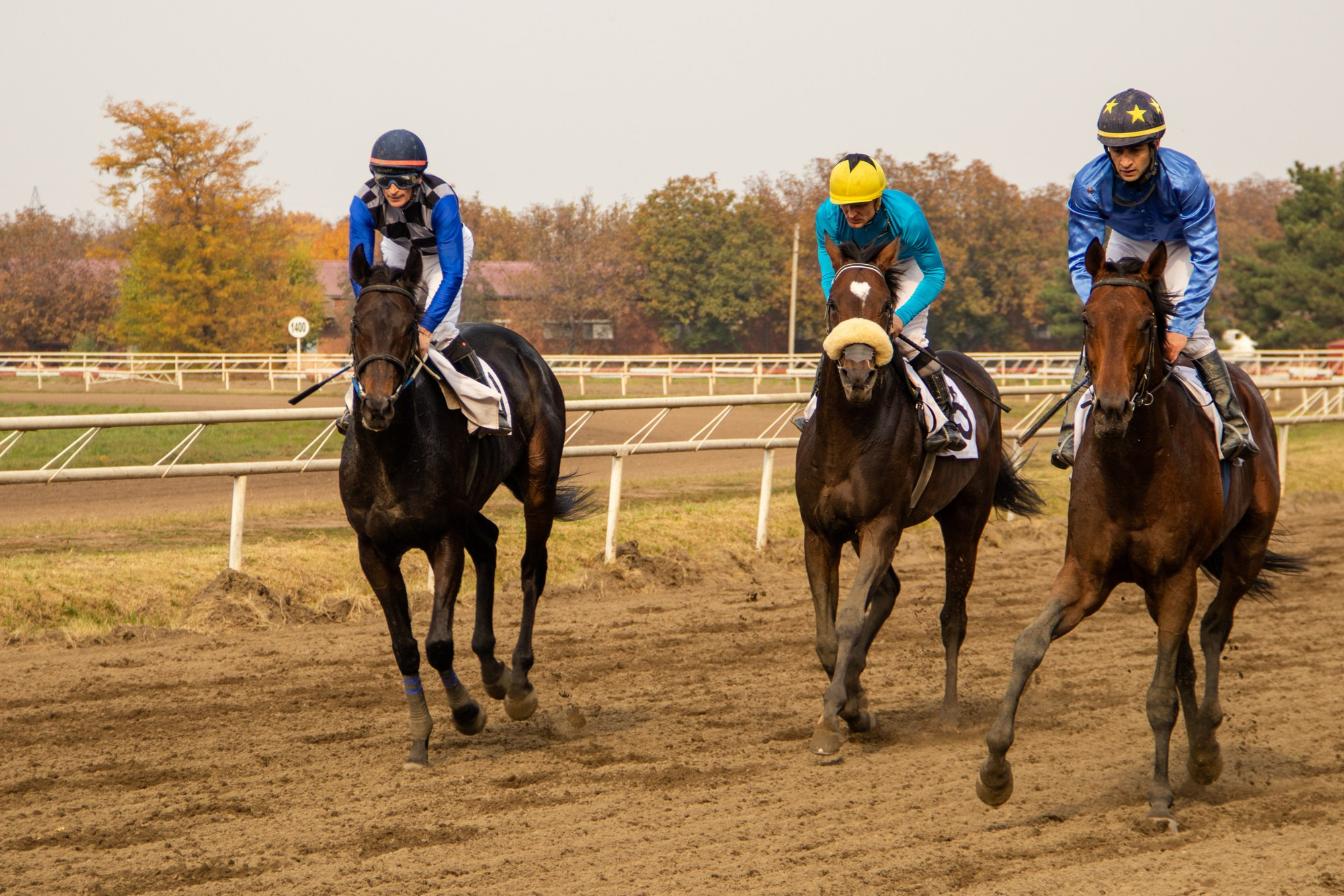 Закрытие скакового сезона на Краснодарском ипподроме. Репортажный, промышленный и маркетплейс-фотограф Дмитрий Чернат