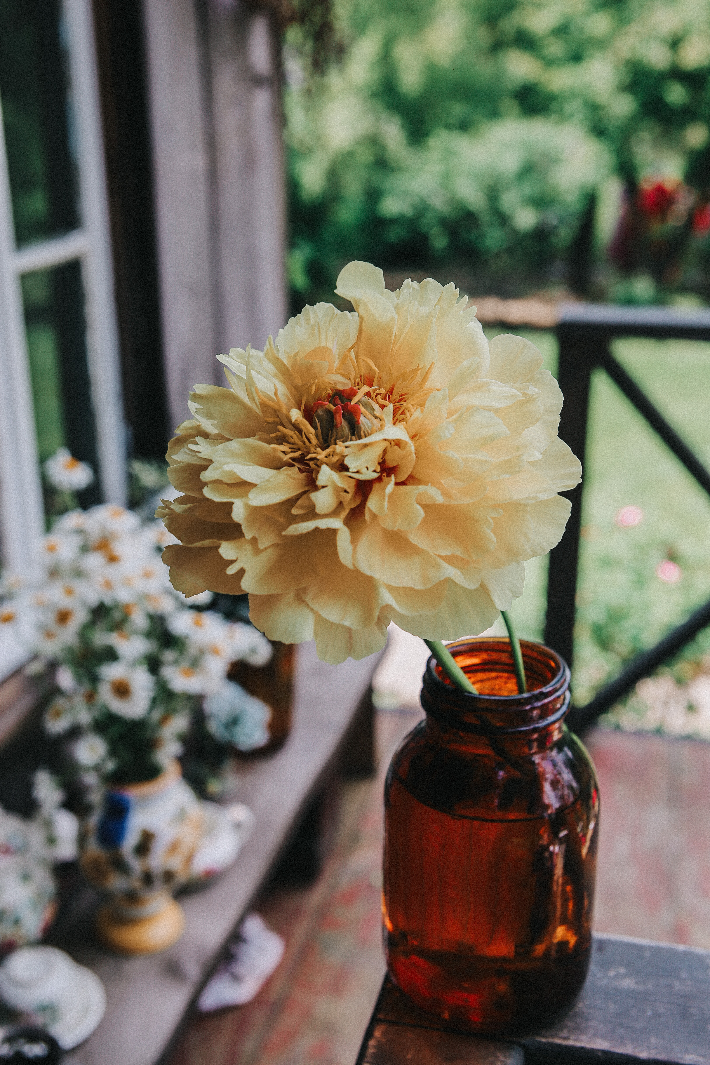 Сад Ракицкого. Фотограф в Серпухове и Тарусе Ксения Царёва