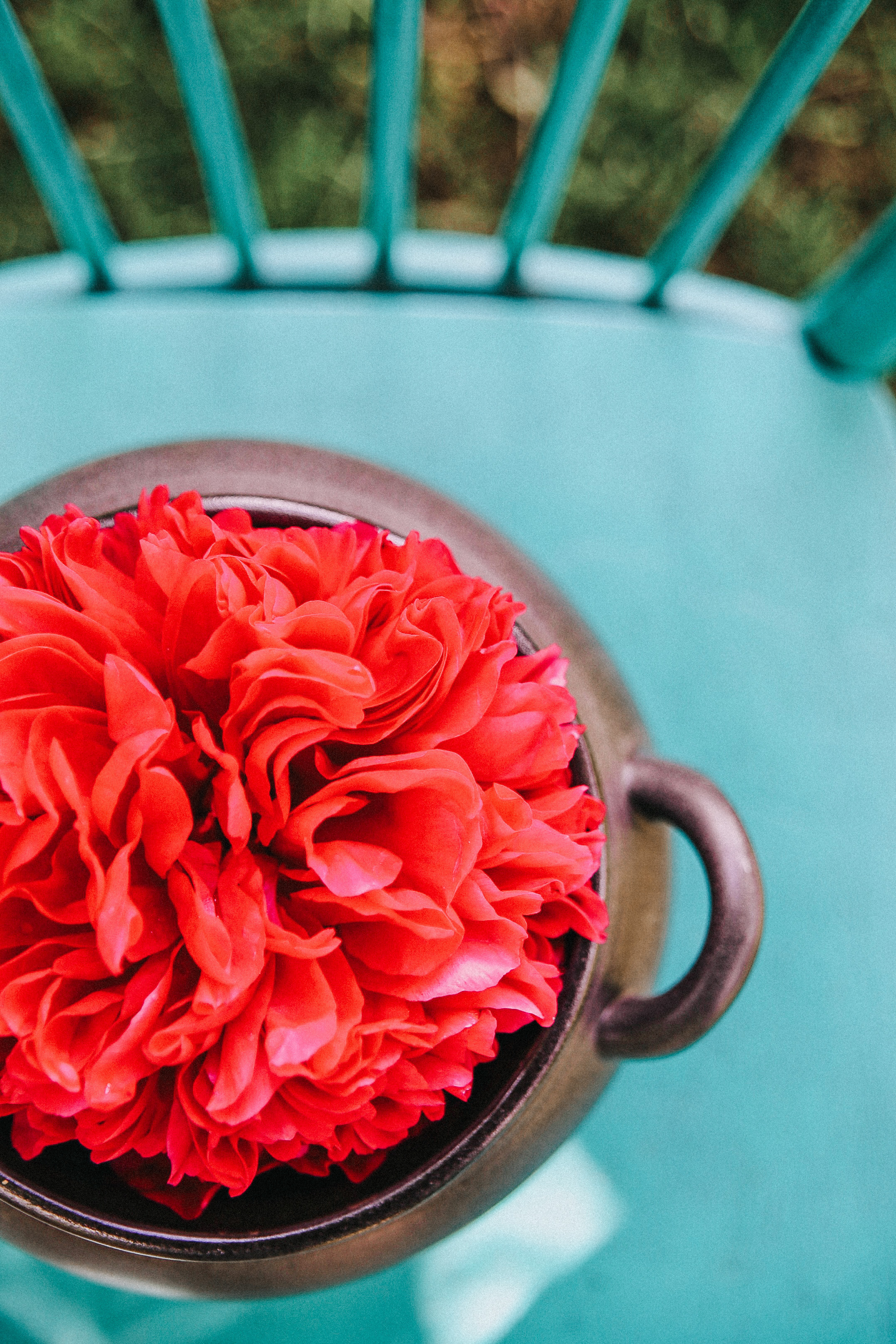 Сад Ракицкого. Фотограф в Серпухове и Тарусе Ксения Царёва