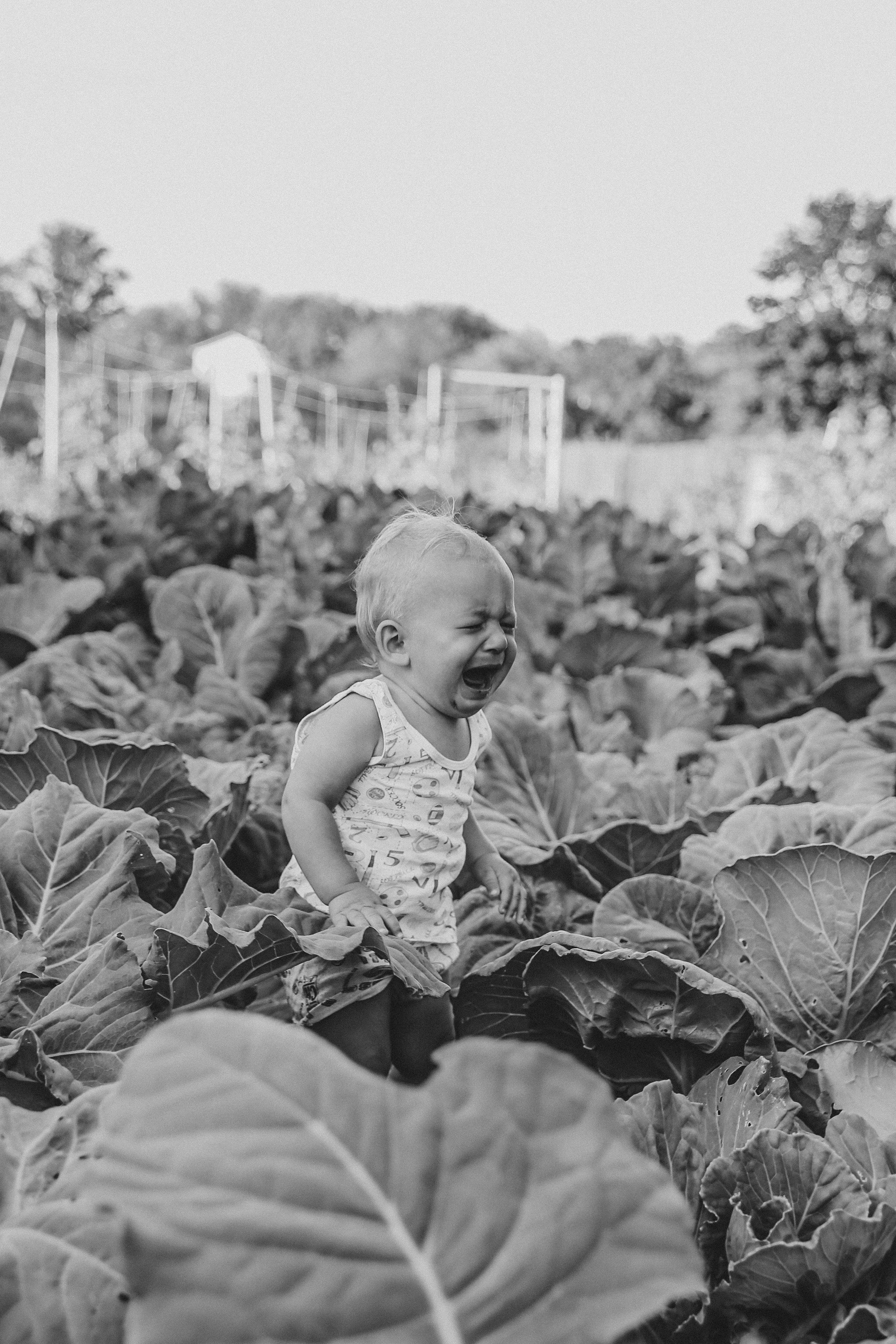 Дачные истории. Фотограф в Серпухове и Тарусе Ксения Царёва