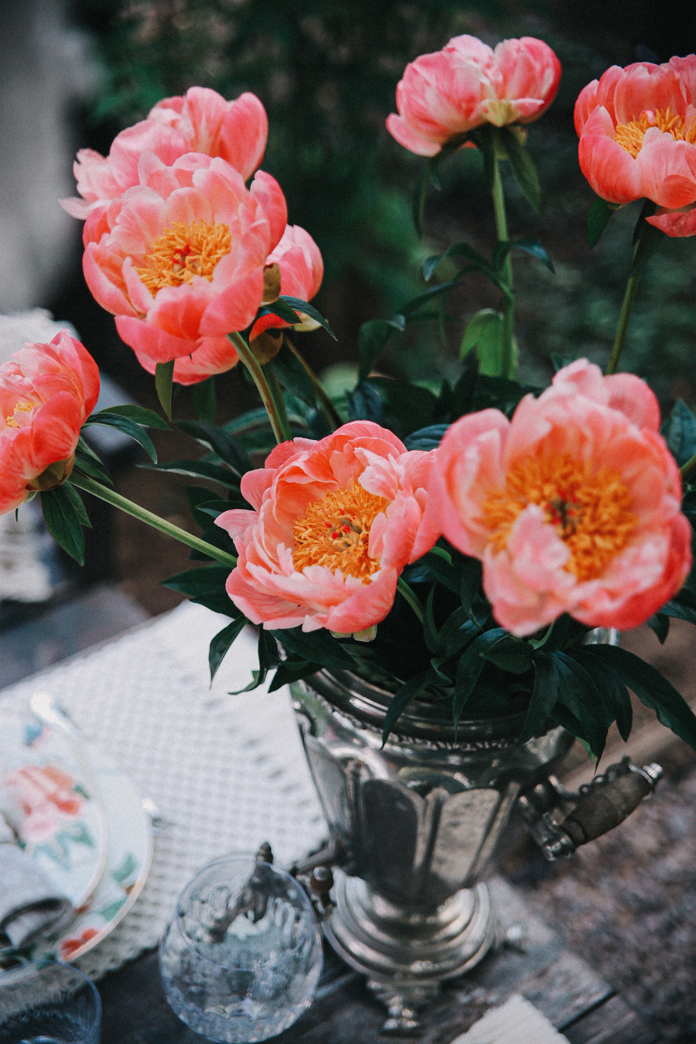 Сад Ракицкого. Фотограф в Серпухове и Тарусе Ксения Царёва